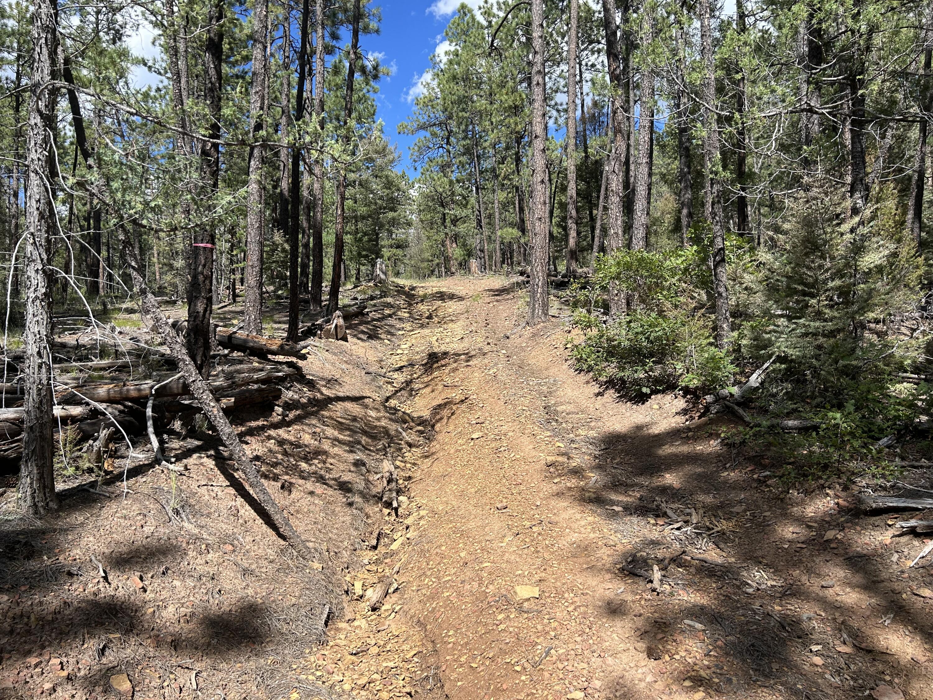 Homes for sale in Pecos, NM | 23 Acre Lot, Pecos, NM 87552 | MLS# 1091332