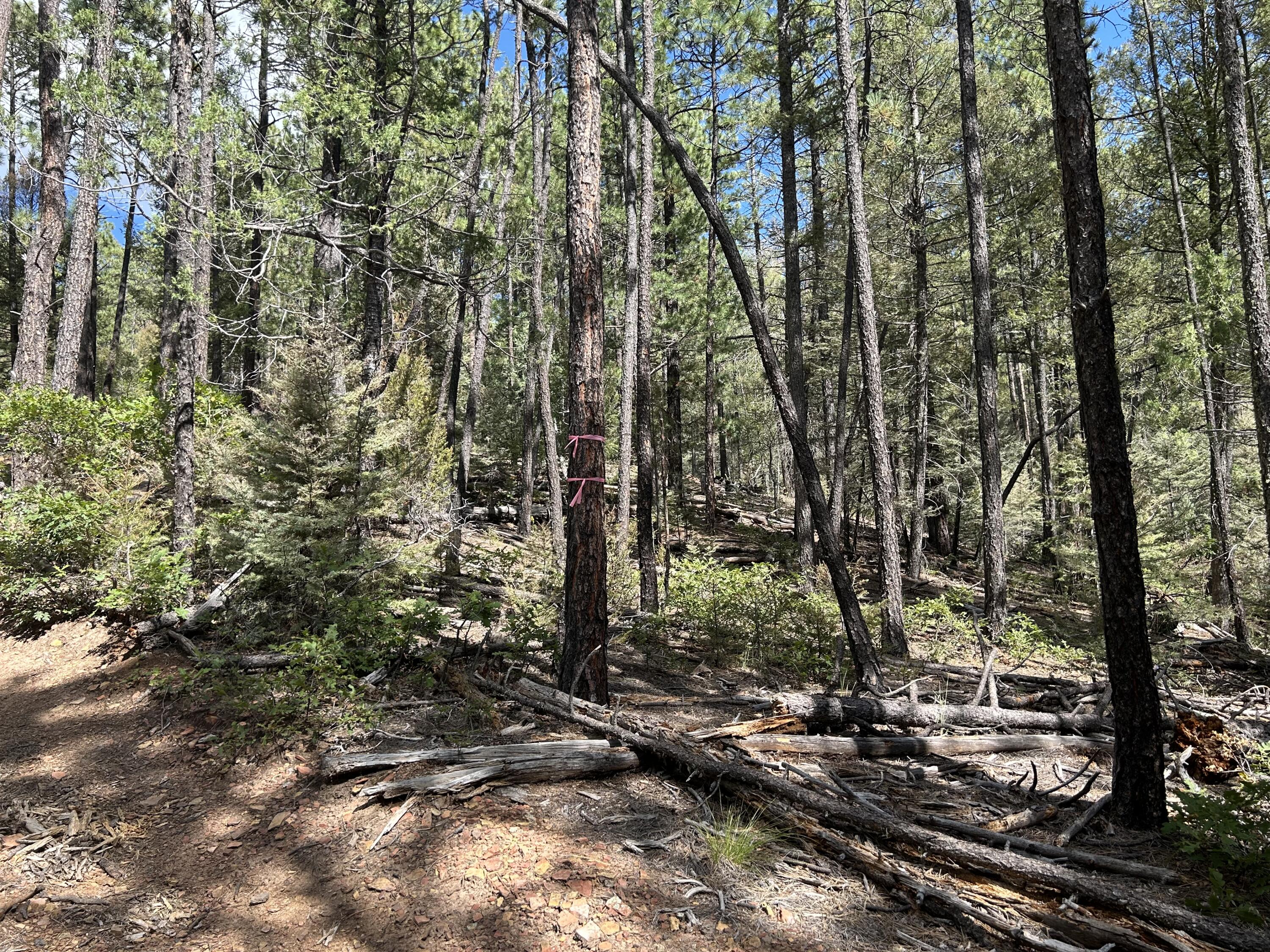 Homes for sale in Pecos, NM | 23 Acre Lot, Pecos, NM 87552 | MLS# 1091332