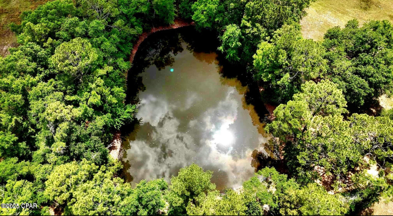 Image 36 For 1718 Robbins Bridge