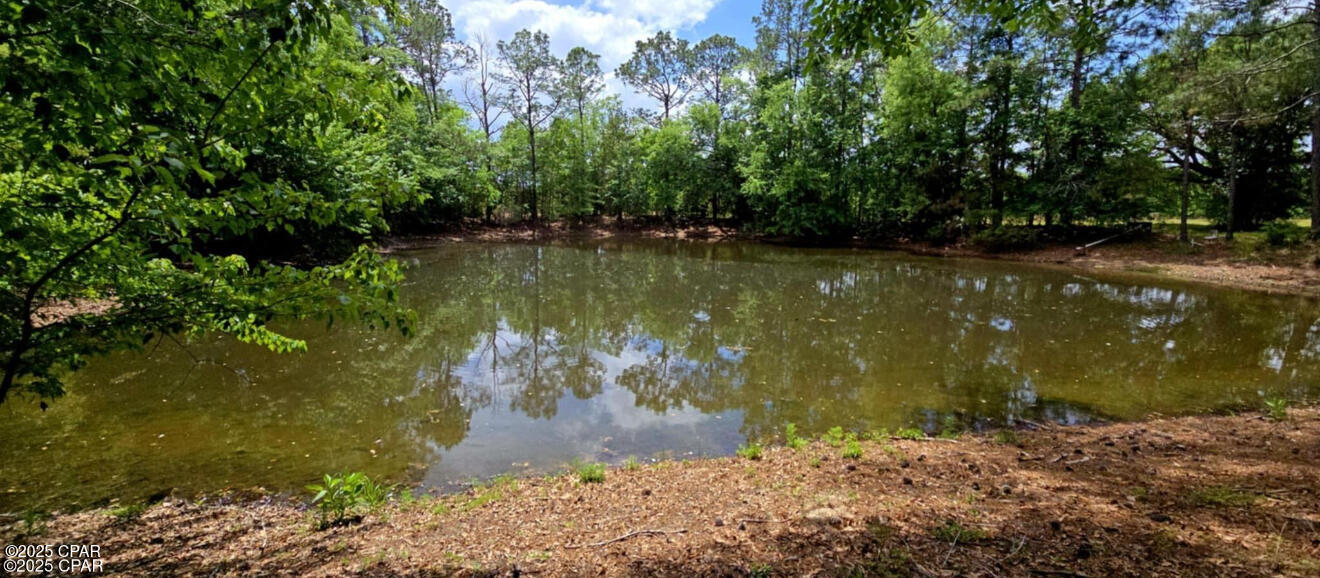 Image 4 For 1718 Robbins Bridge