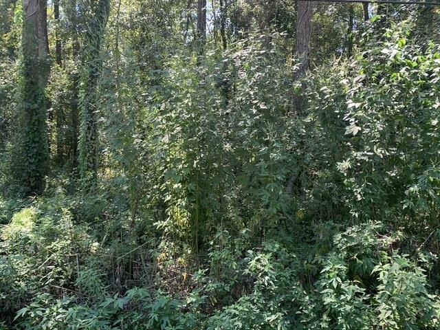 0  Buck Lake Road , Tallahassee, FL, 