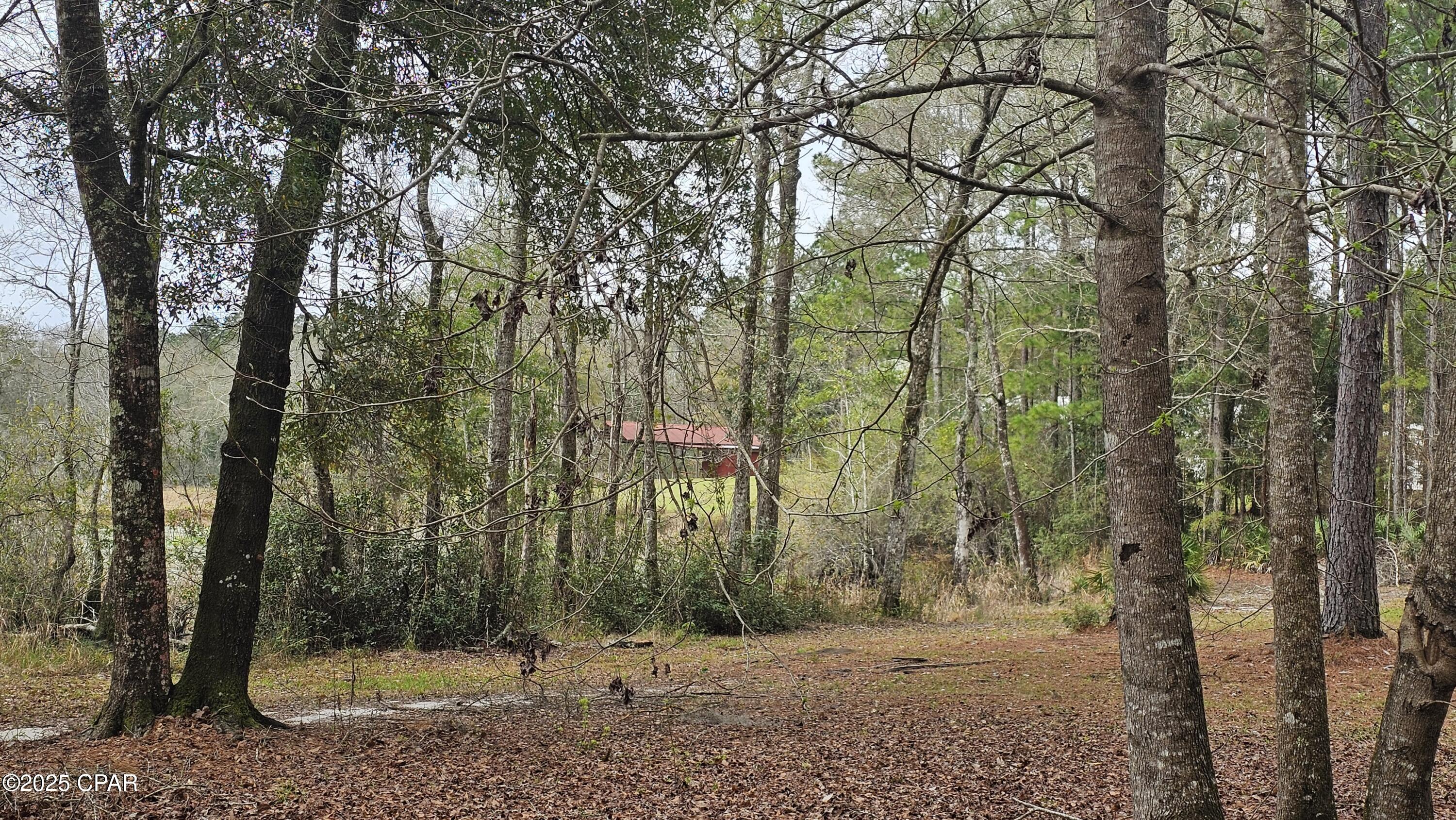 Image 72 For 2474 Tiller Cemetery Drive