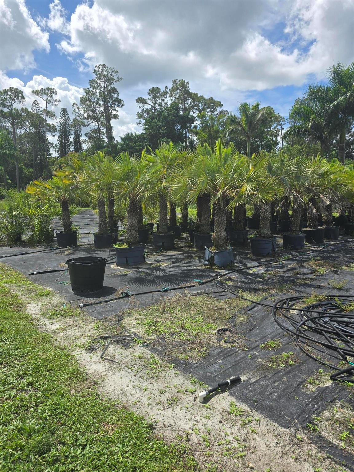 Homes for sale in Loxahatchee Groves, FL | 0000 B Road, Loxahatchee Groves, FL 33470 | MLS# R11123818