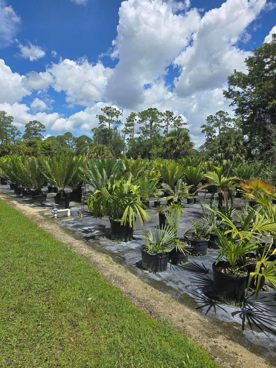 Homes for sale in Loxahatchee Groves, FL | 0000 B Road, Loxahatchee Groves, FL 33470 | MLS# R11123818