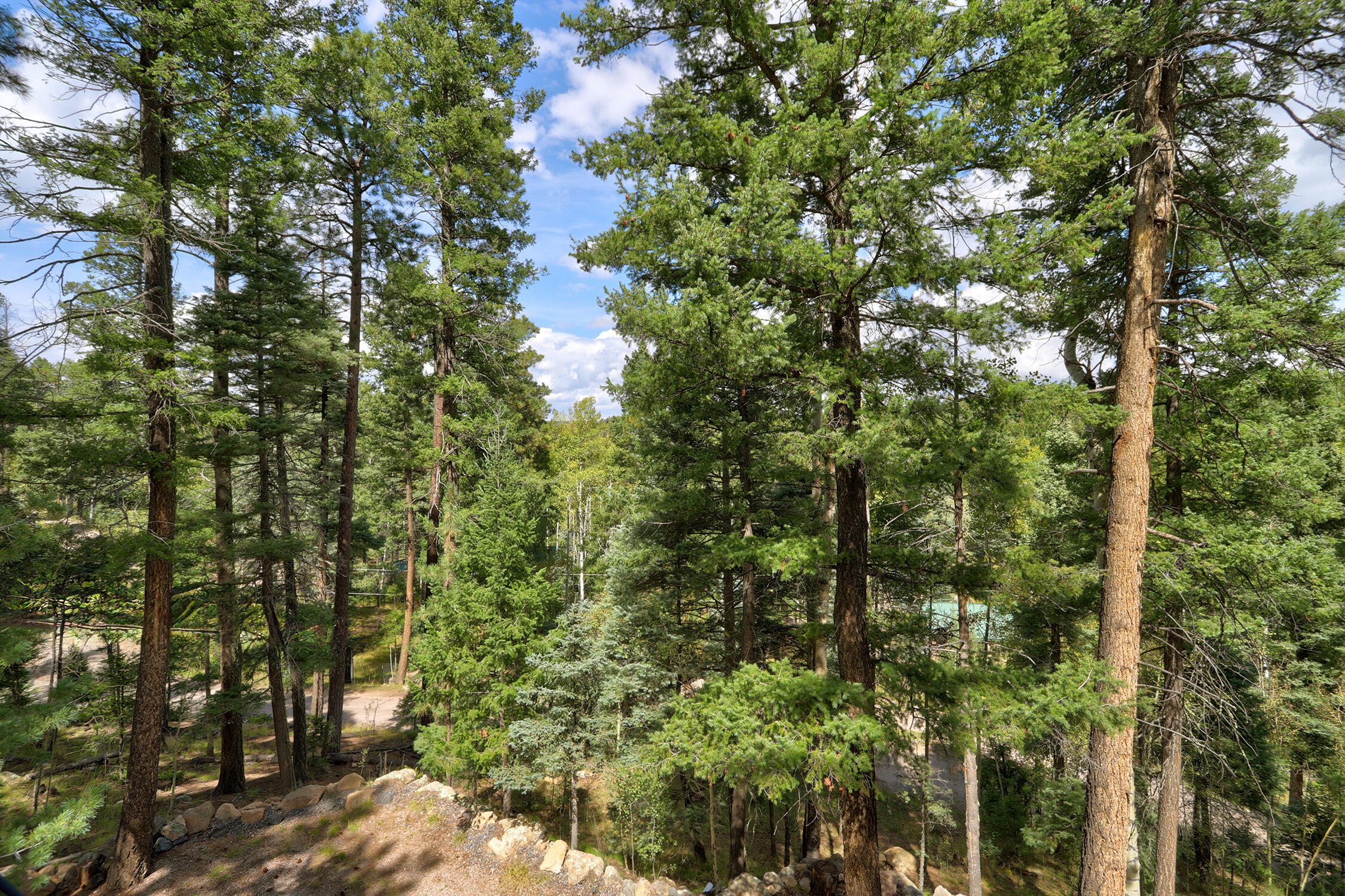 Homes for sale in Jemez Springs, NM | 118 Porcupine Trl, Jemez Springs, NM 87025 | MLS# 1091402