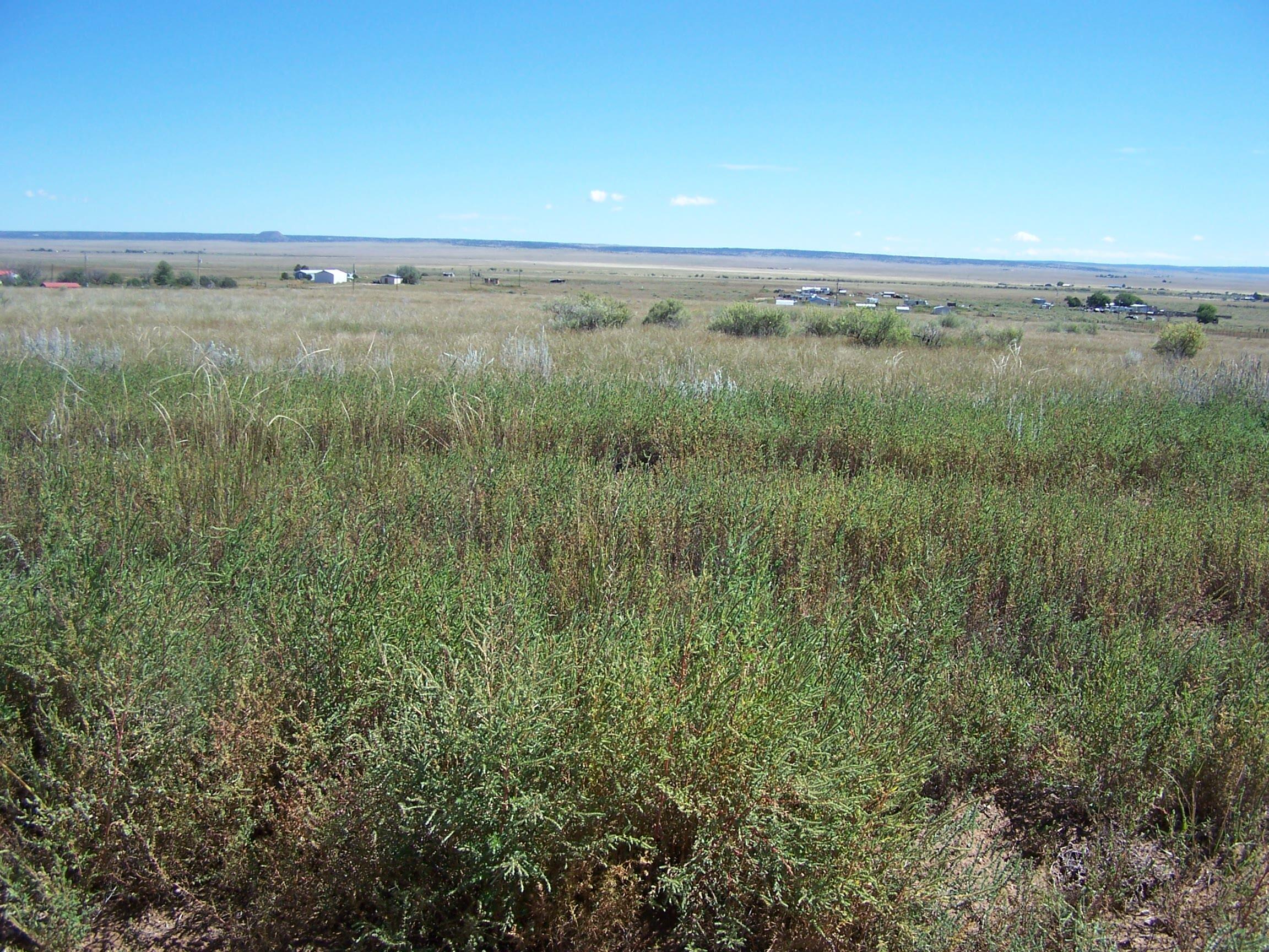 Homes for sale in Moriarty, NM | Leonard(Aka Bay), Moriarty, NM 87035 | MLS# 1091471