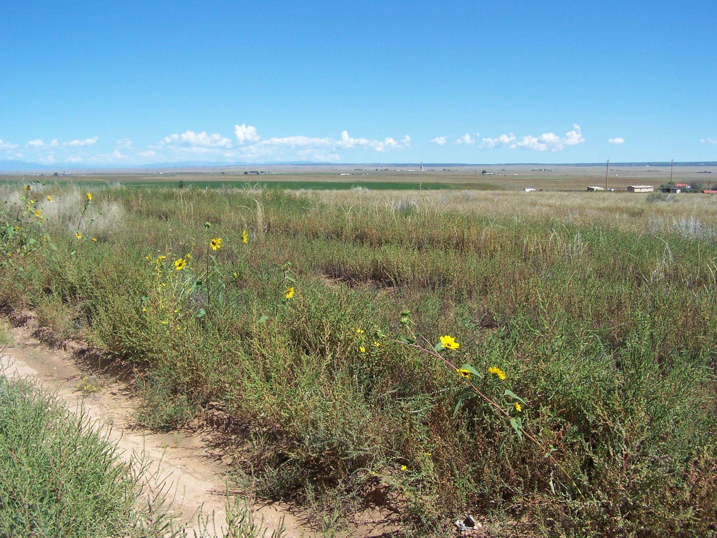 Homes for sale in Moriarty, NM | Leonard(Aka Bay), Moriarty, NM 87035 | MLS# 1091471