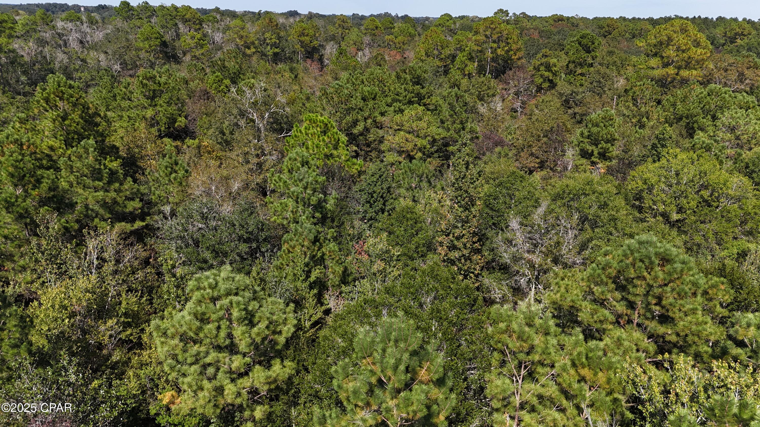 Image 3 For 1414 Highway 2