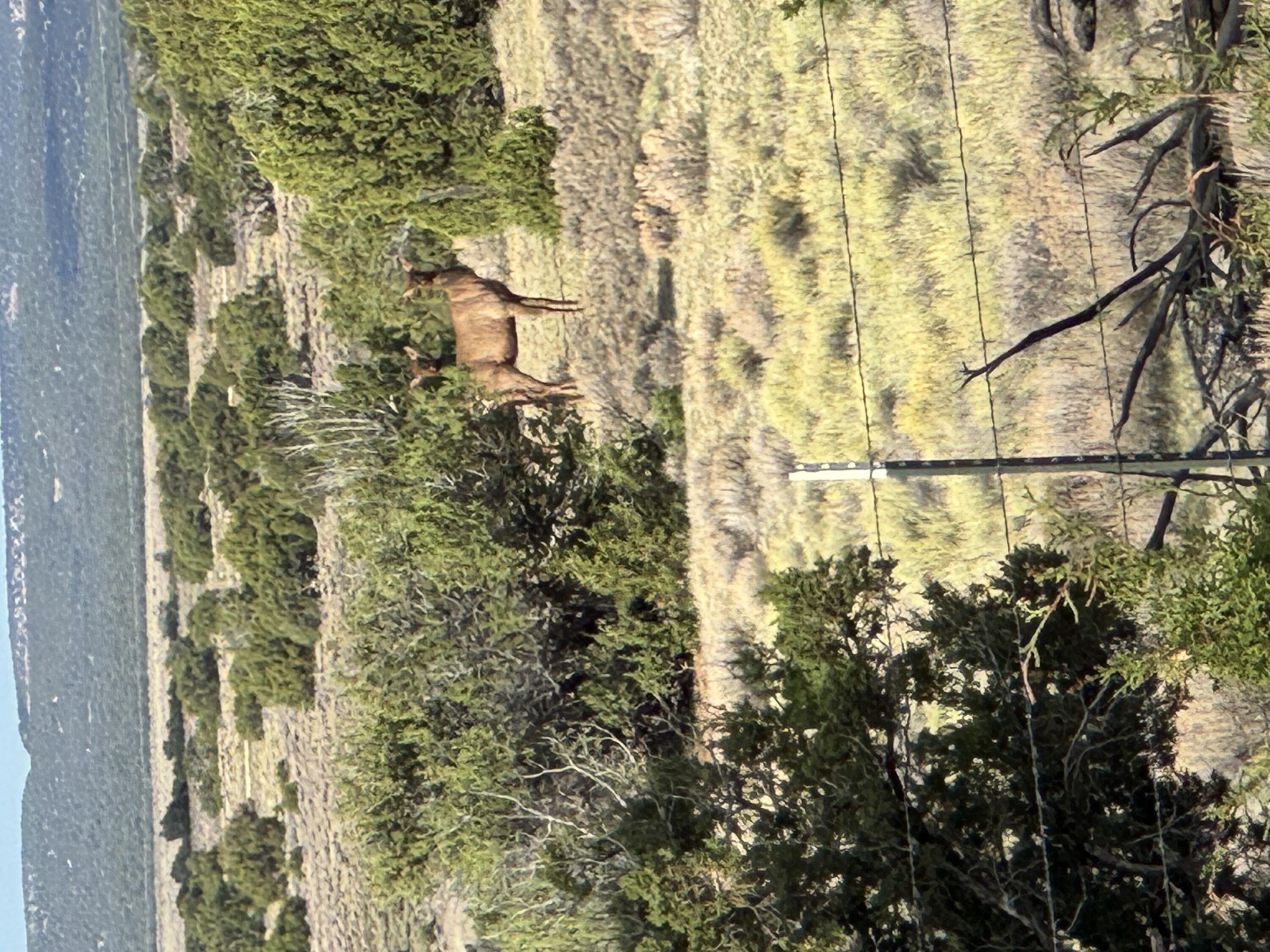 Photo 18 —  Lot 130 Jolly Time Lane