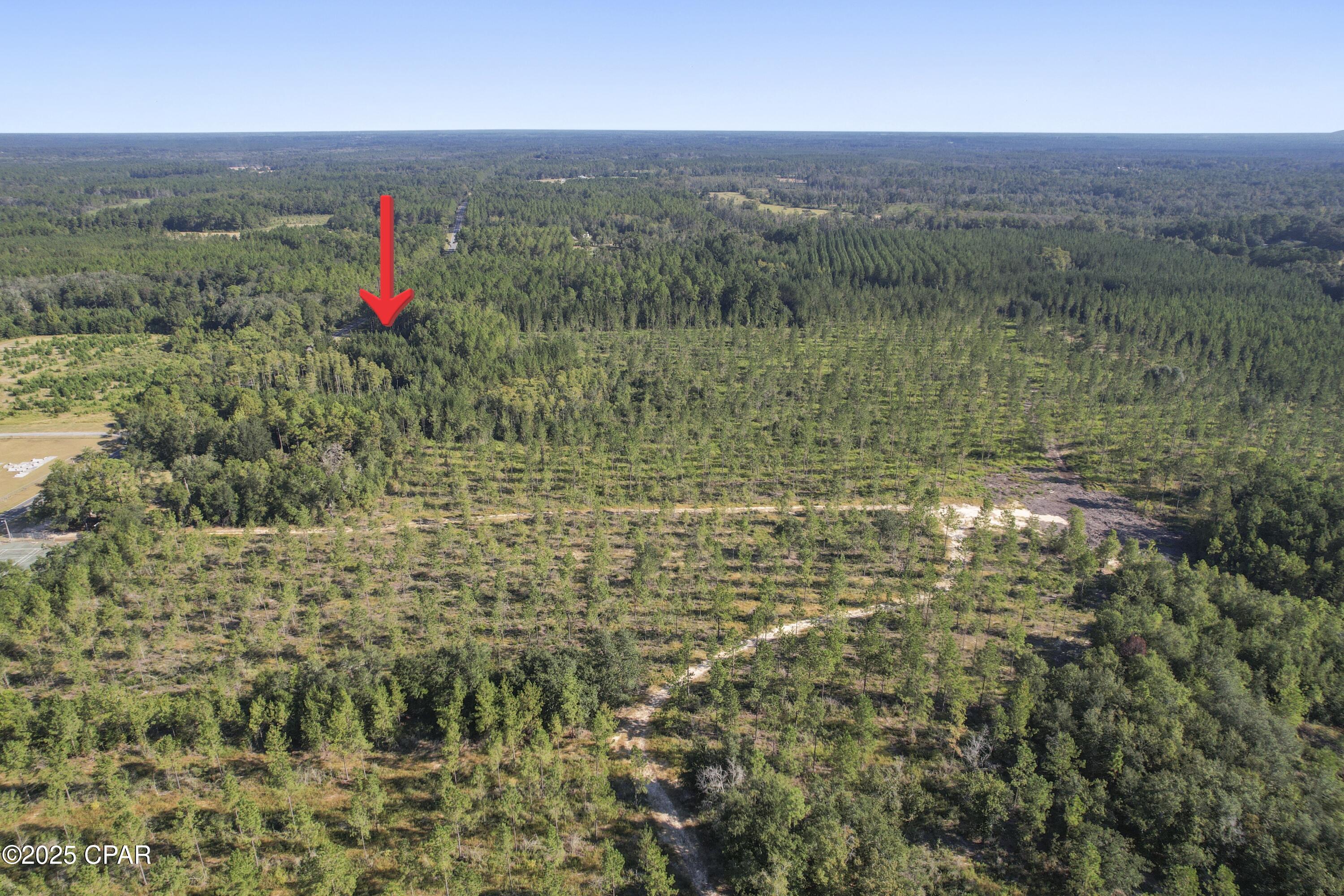 Image 7 For 2649 Bonnett Pond Road