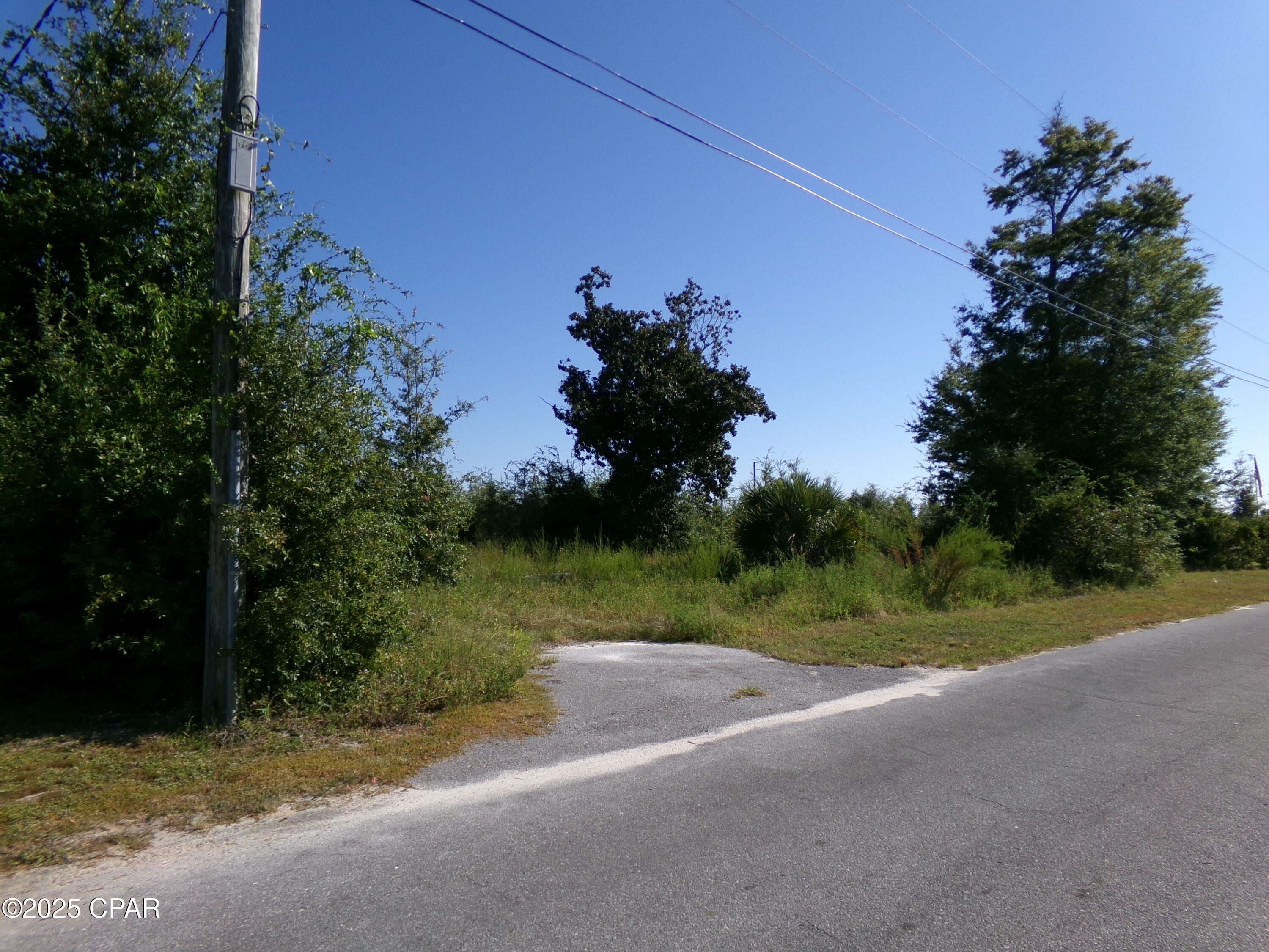 Image 3 For 00 Whitaker Street