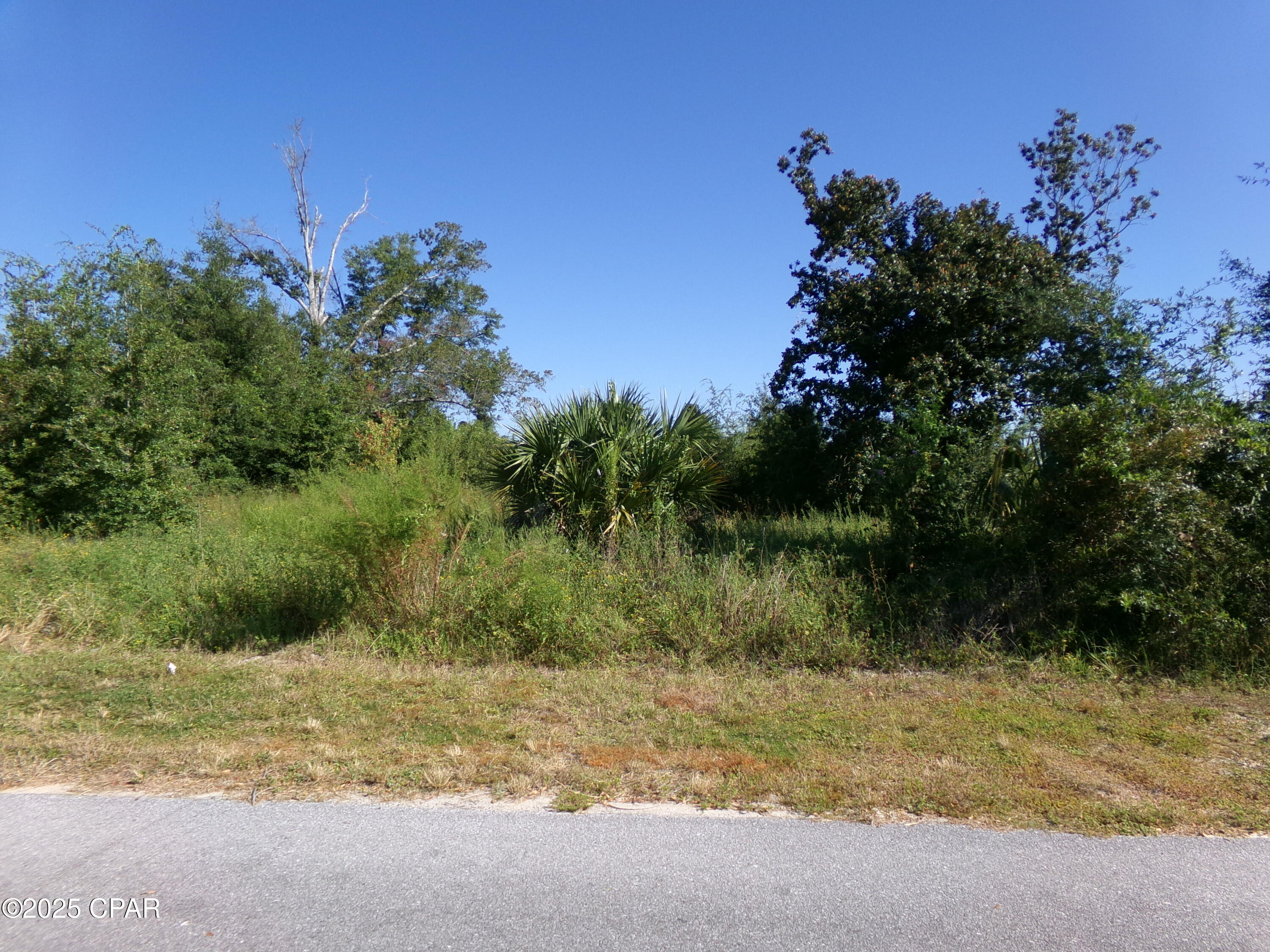 Image 4 For 00 Whitaker Street