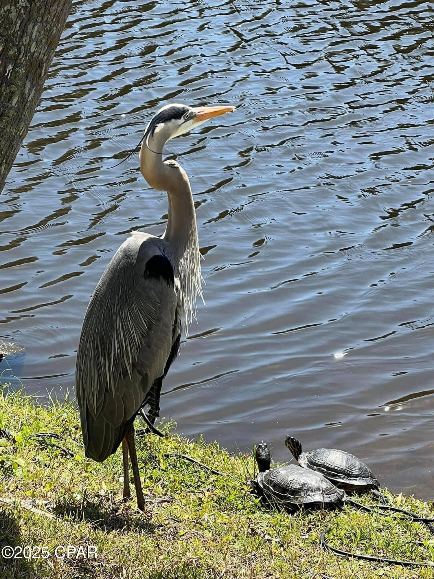 Image 44 For 17462 Front Beach 30 D Road 30d
