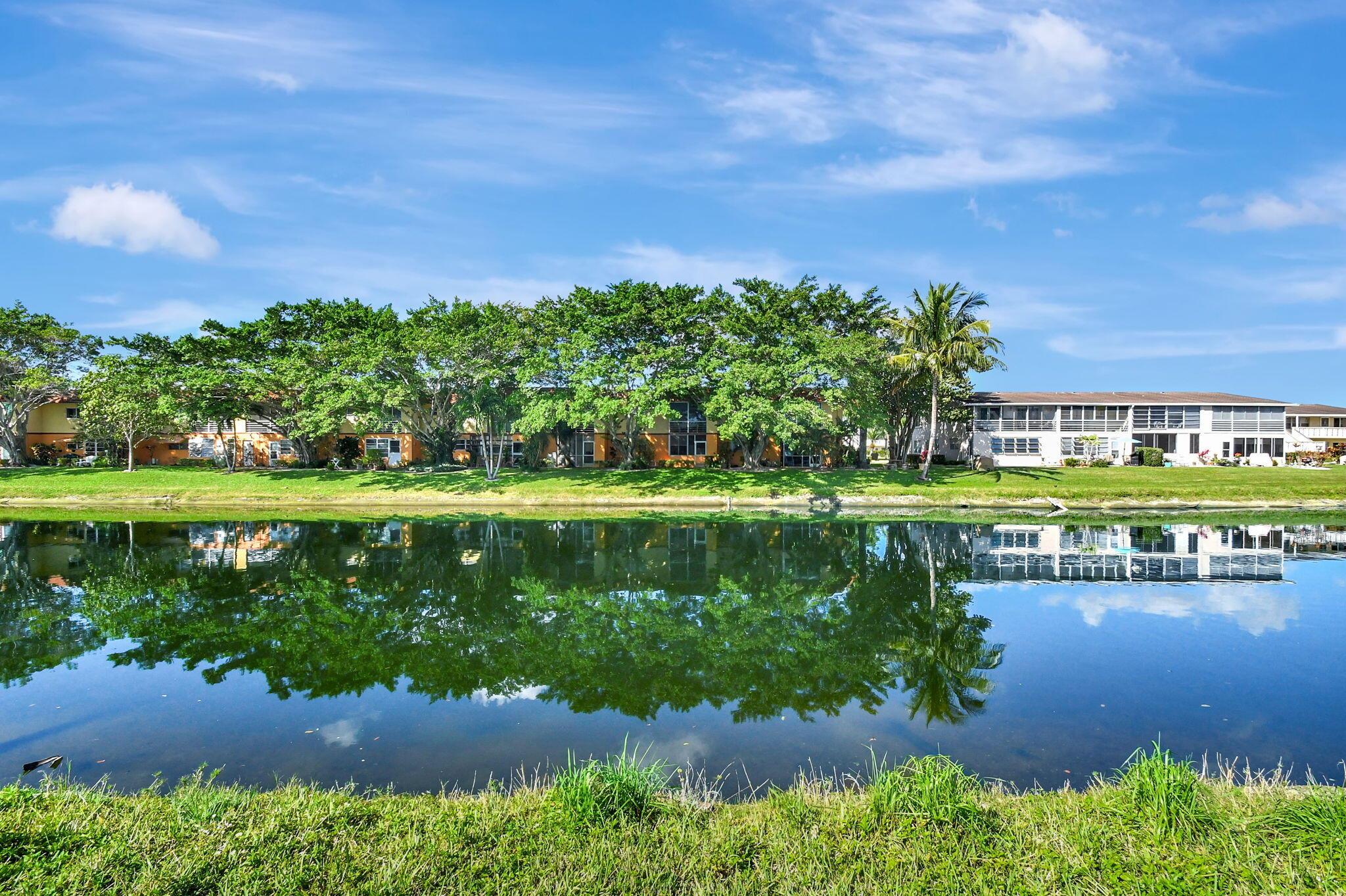 Century Village - Sheffie