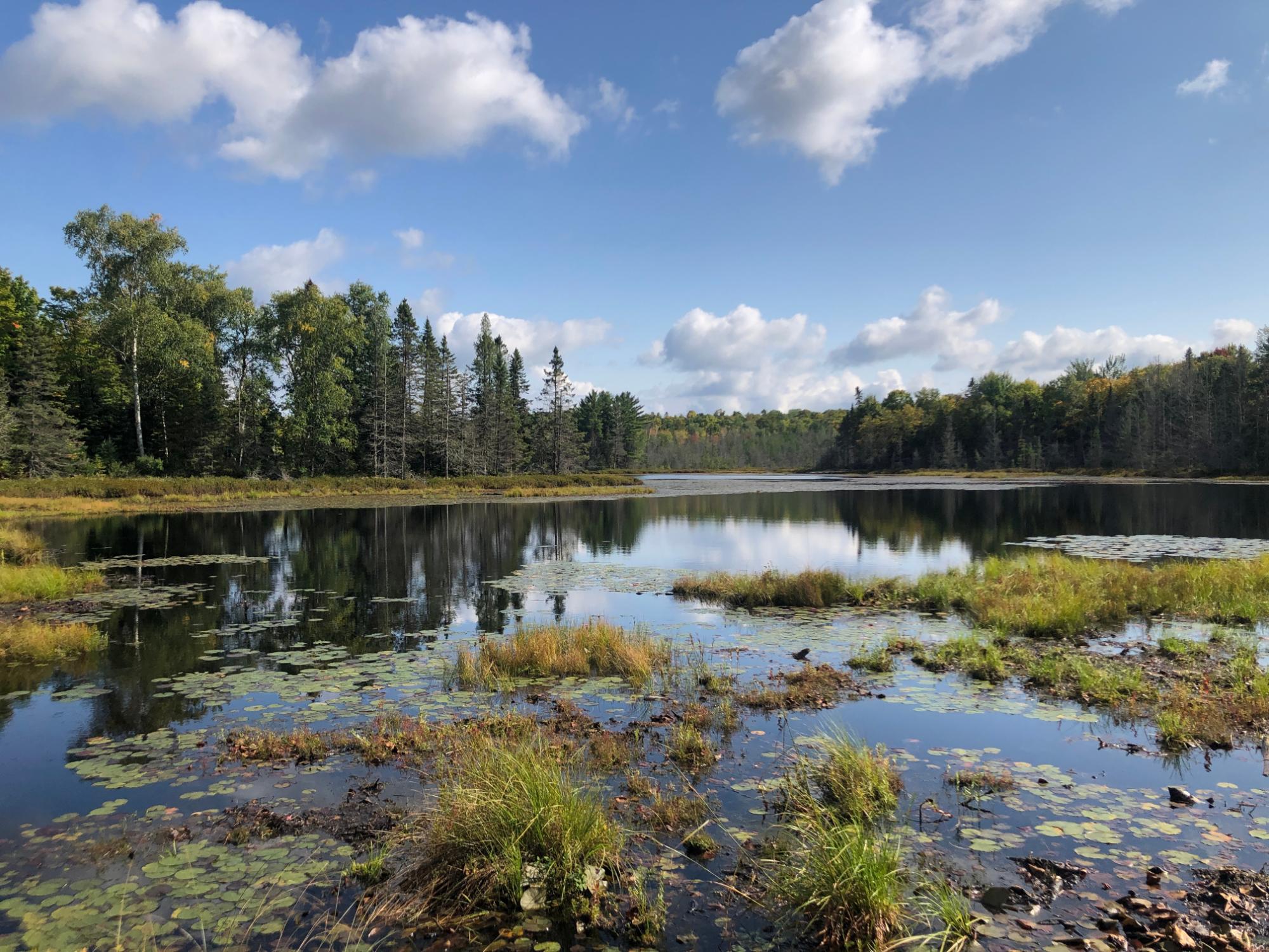 Undocumented Lake Property 8549 Crawford Lake Rd Photo 3