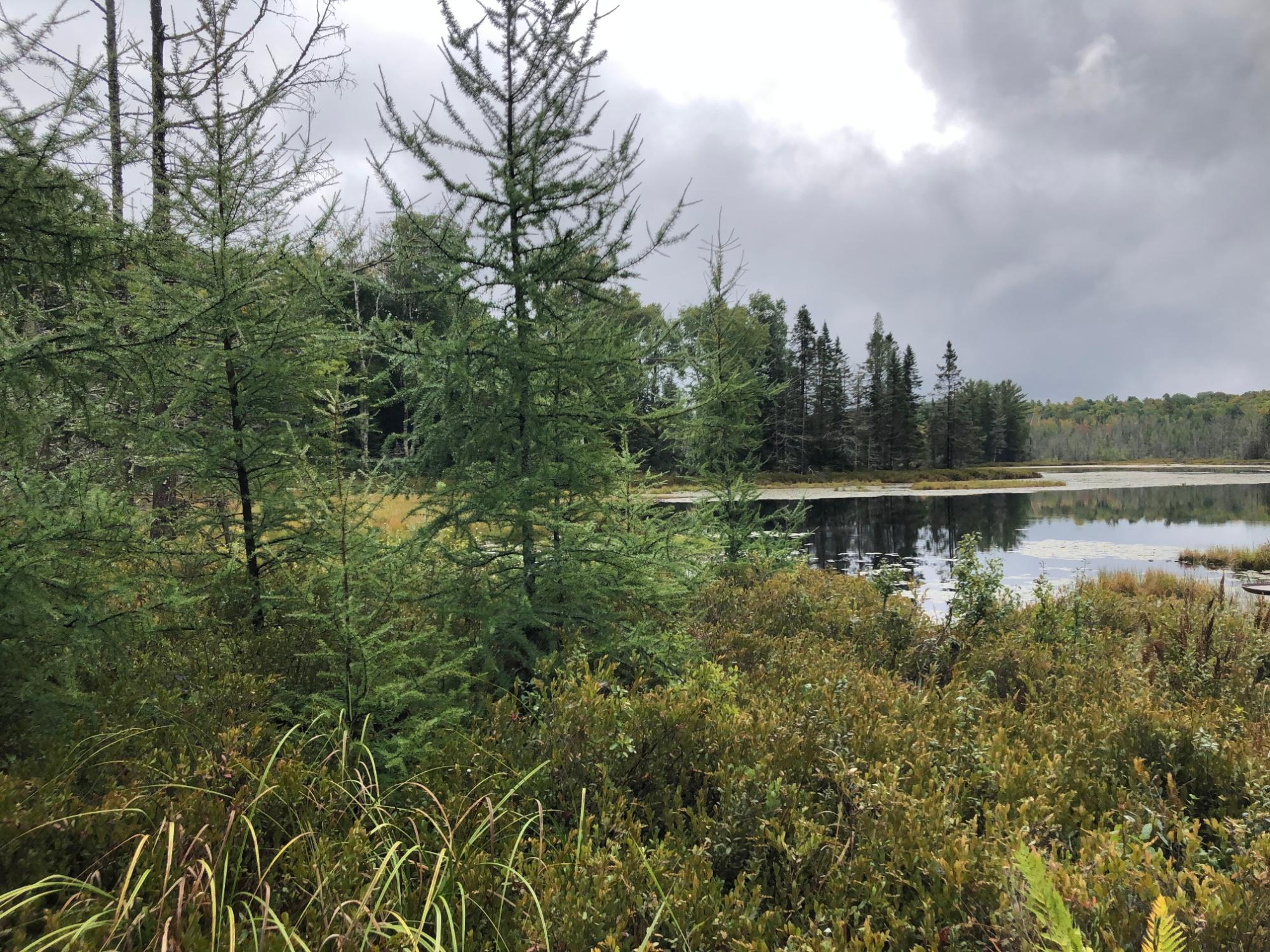 Undocumented Lake Property 8549 Crawford Lake Rd Photo 33