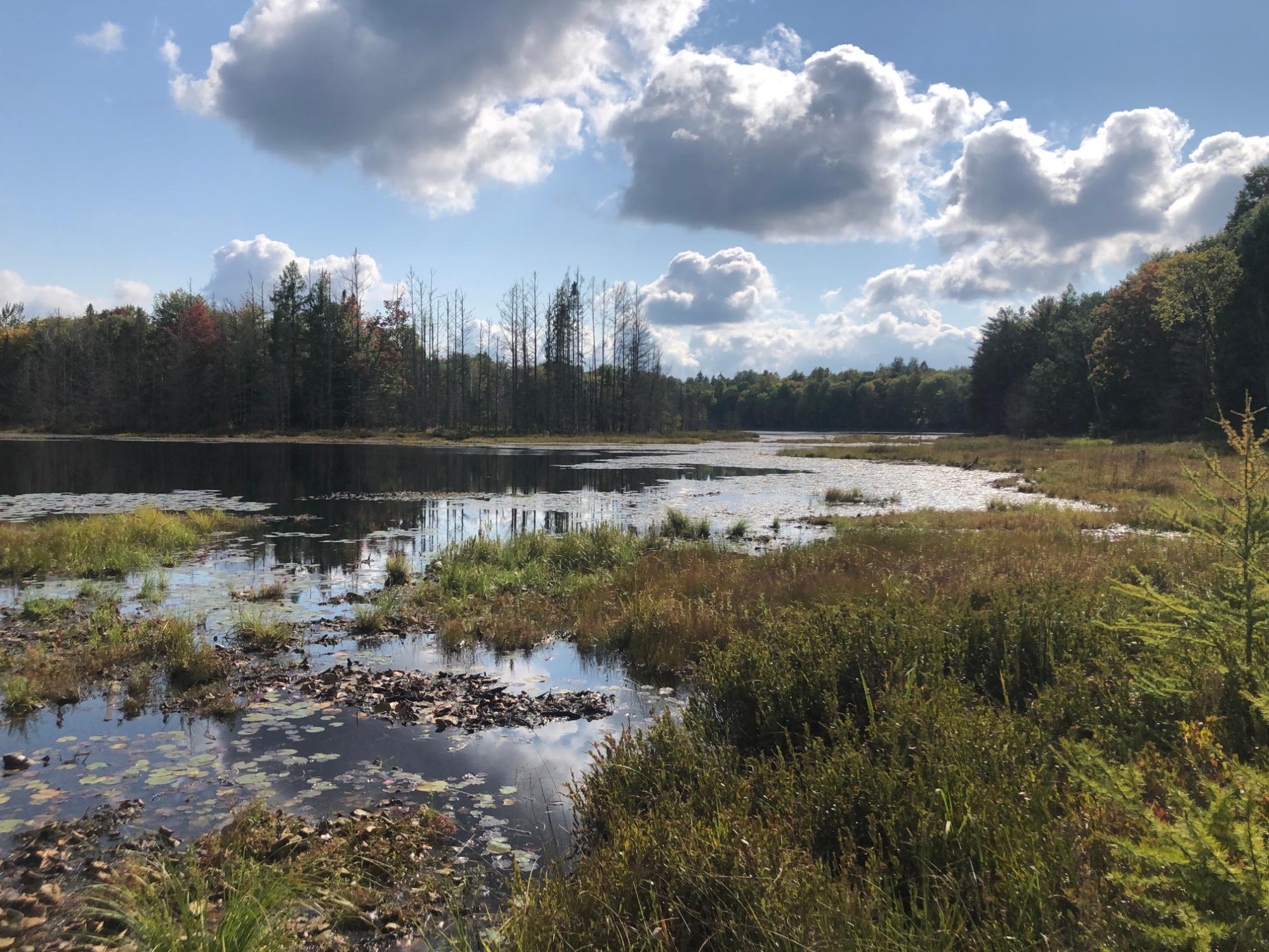 Undocumented Lake Property 8549 Crawford Lake Rd Photo 37