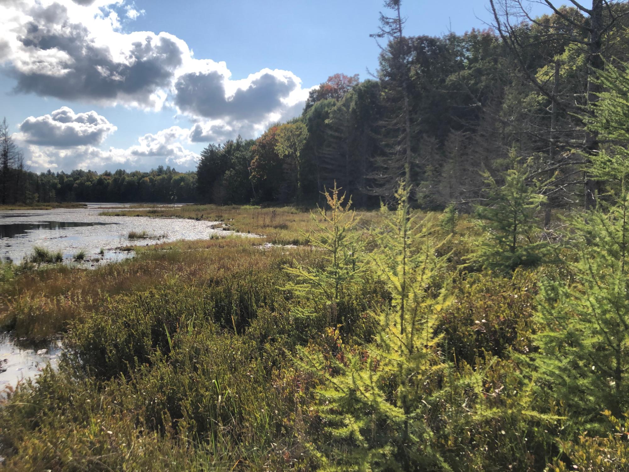 Undocumented Lake Property 8549 Crawford Lake Rd Photo 4