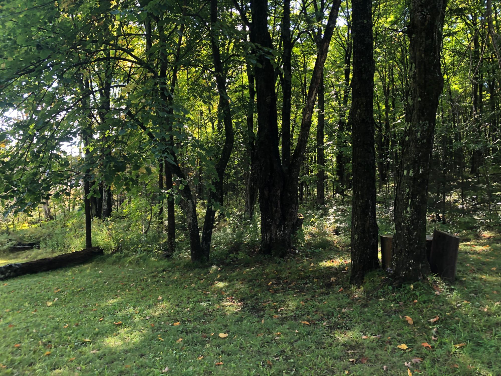 Undocumented Lake Property 8549 Crawford Lake Rd Photo 6