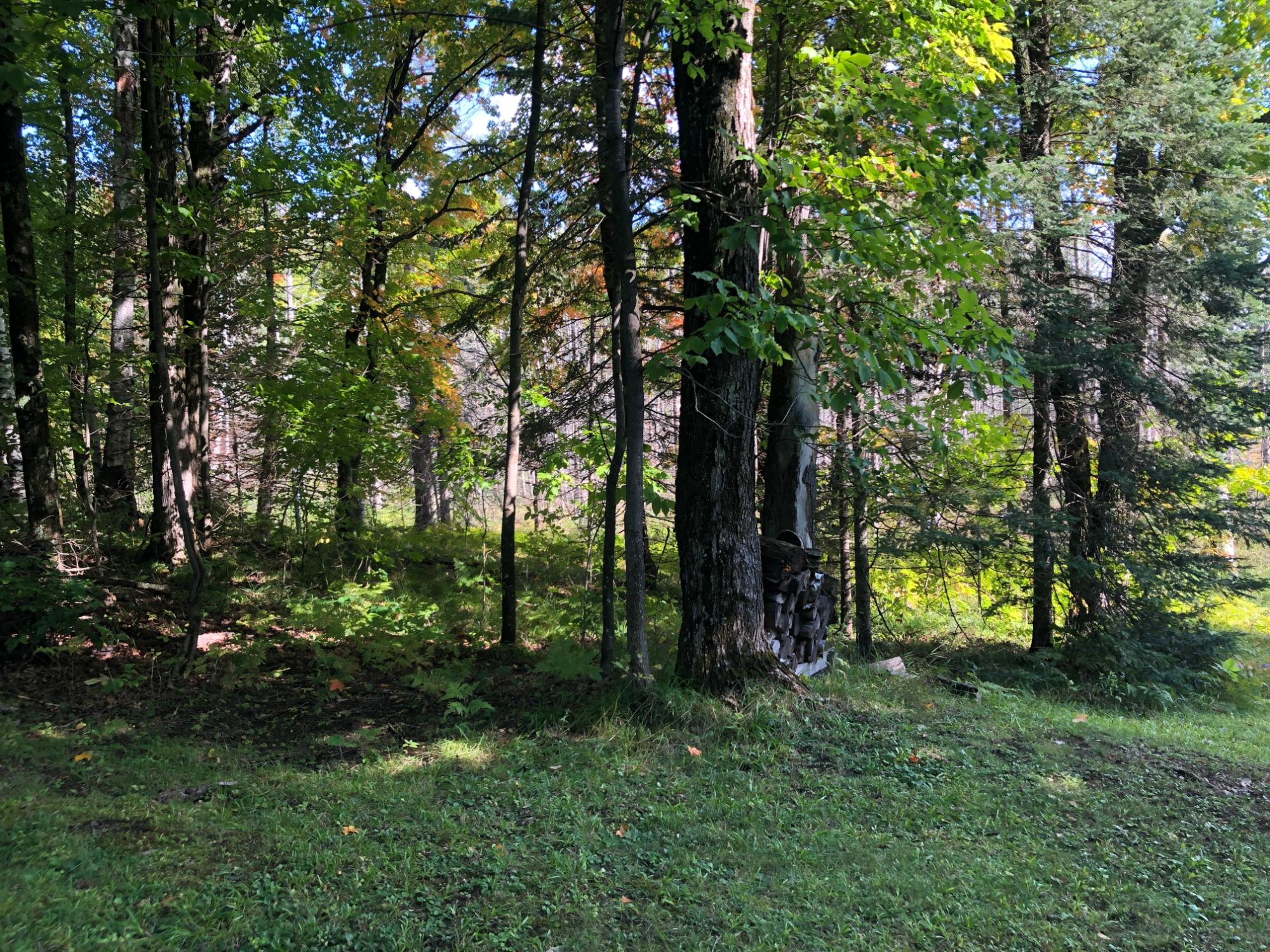 Undocumented Lake Property 8549 Crawford Lake Rd Photo 7