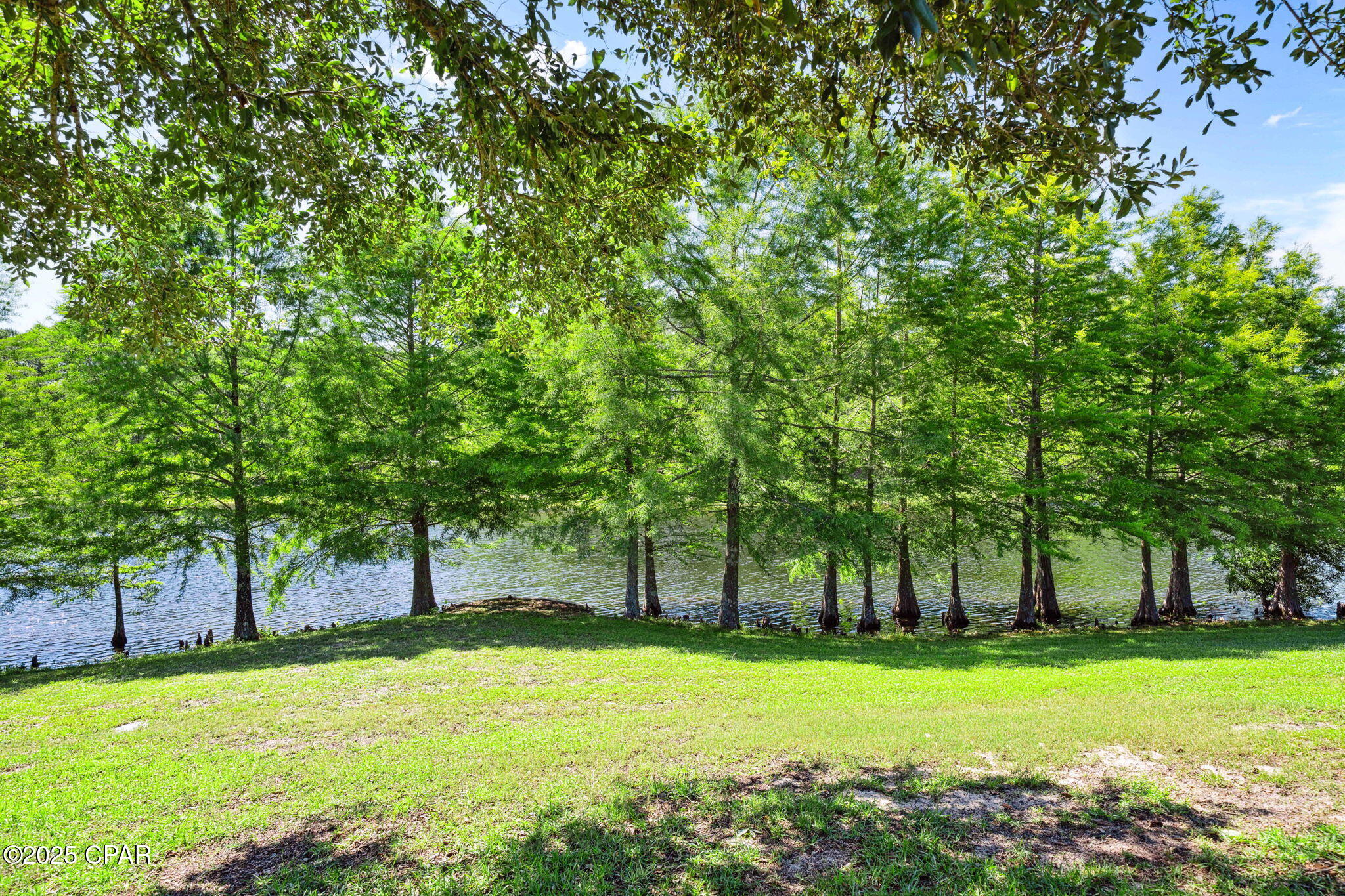 Image 35 For 56 Camellia Lane