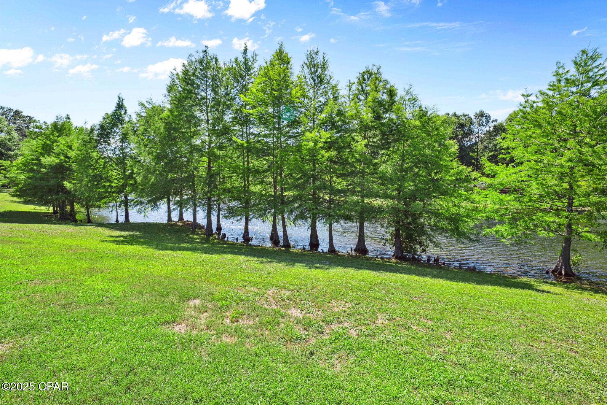 Image 38 For 56 Camellia Lane