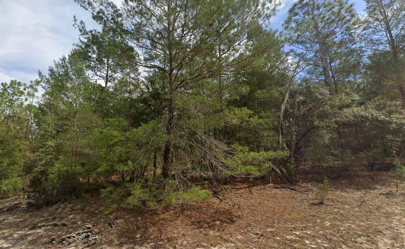 Interlachen Lakes Estates