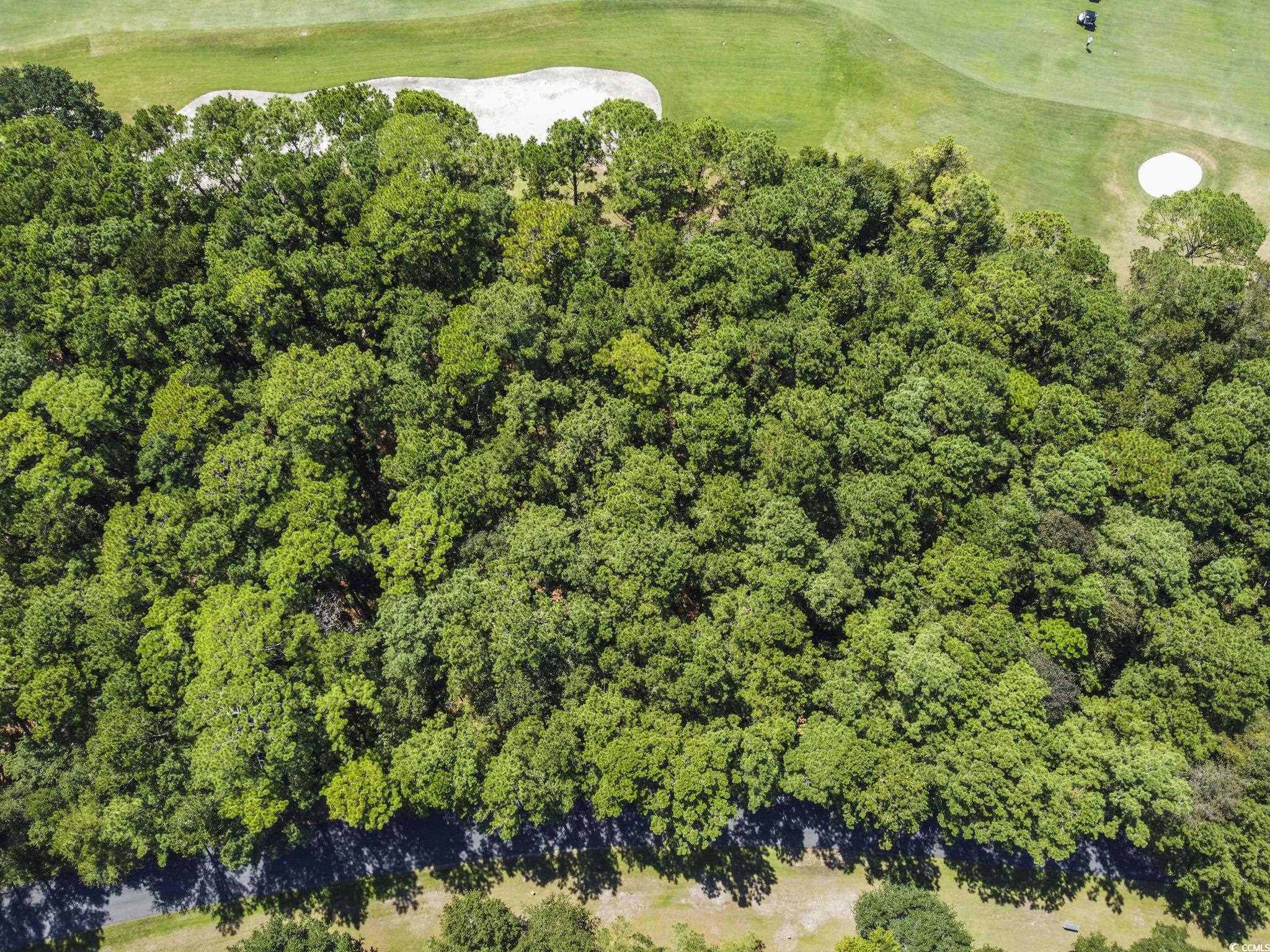 Lot 305 Wallace Pate Dr. Georgetown, SC 29440