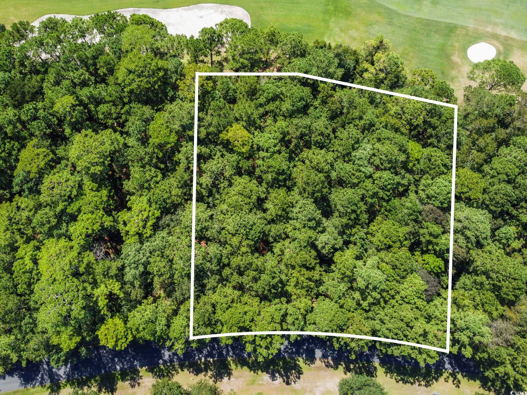 Lot 305 Wallace Pate Dr.