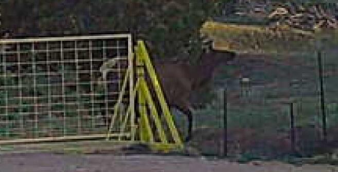 Homes for sale in Mountainair, NM | 5606 New Mexico Hwy 55, Mountainair, NM 87036 | MLS# 1091543