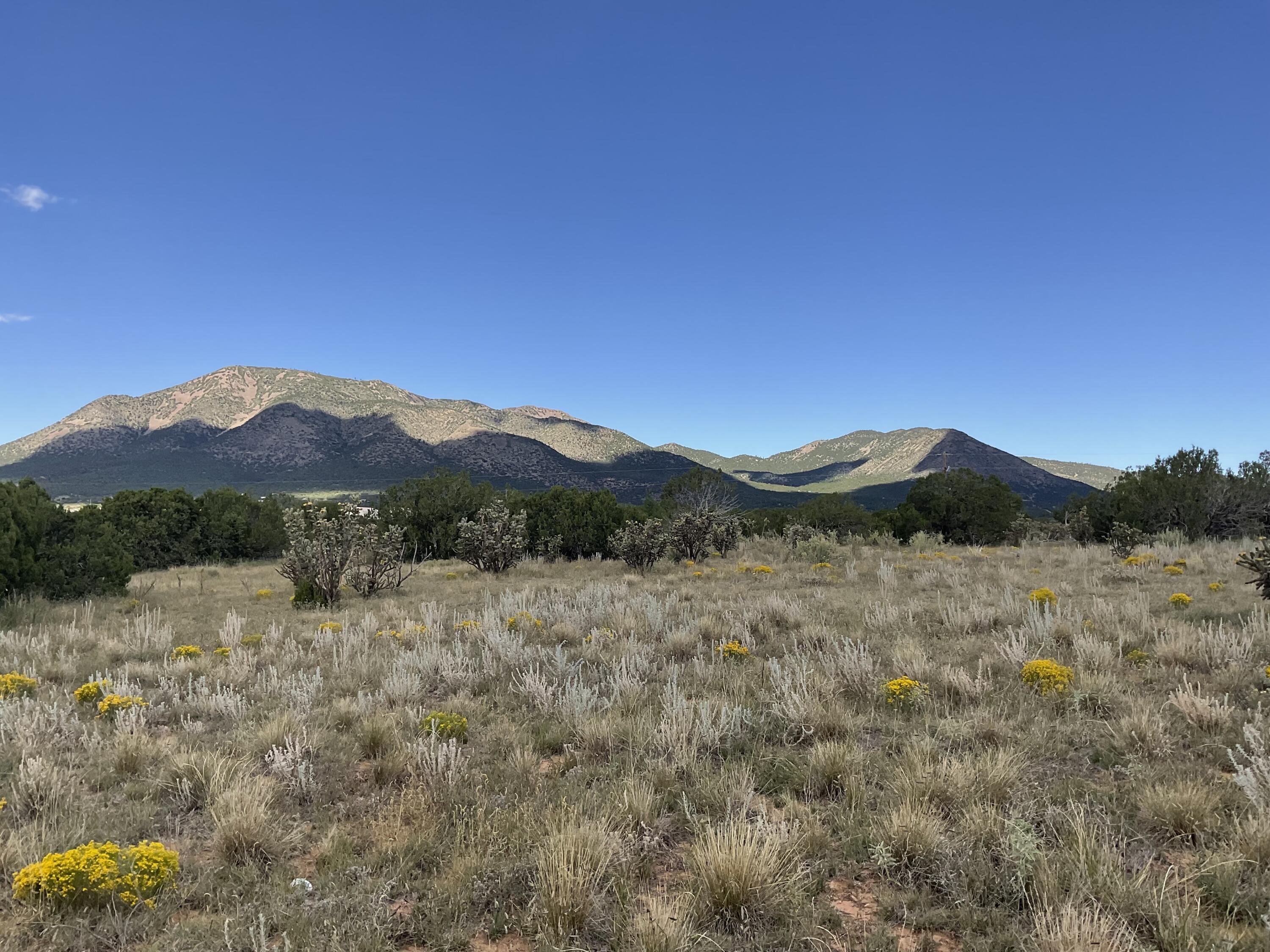 Homes for sale in Edgewood, NM | 288 Entranosa Rd, Edgewood, NM 87015 | MLS# 1091547