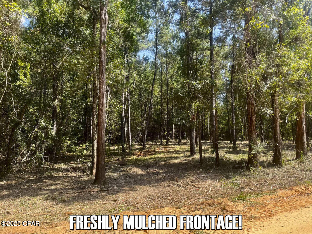 Image 7 For 0 Ambus Lane