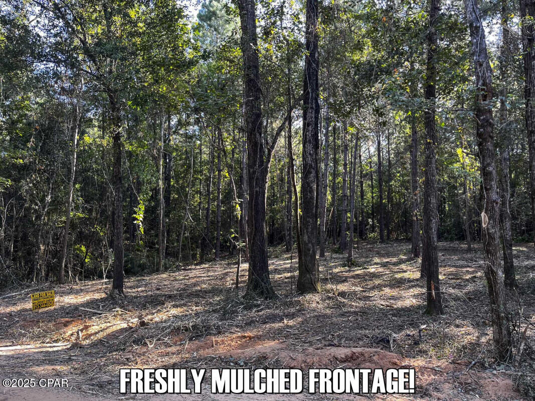 Image 9 For 0 Ambus Lane