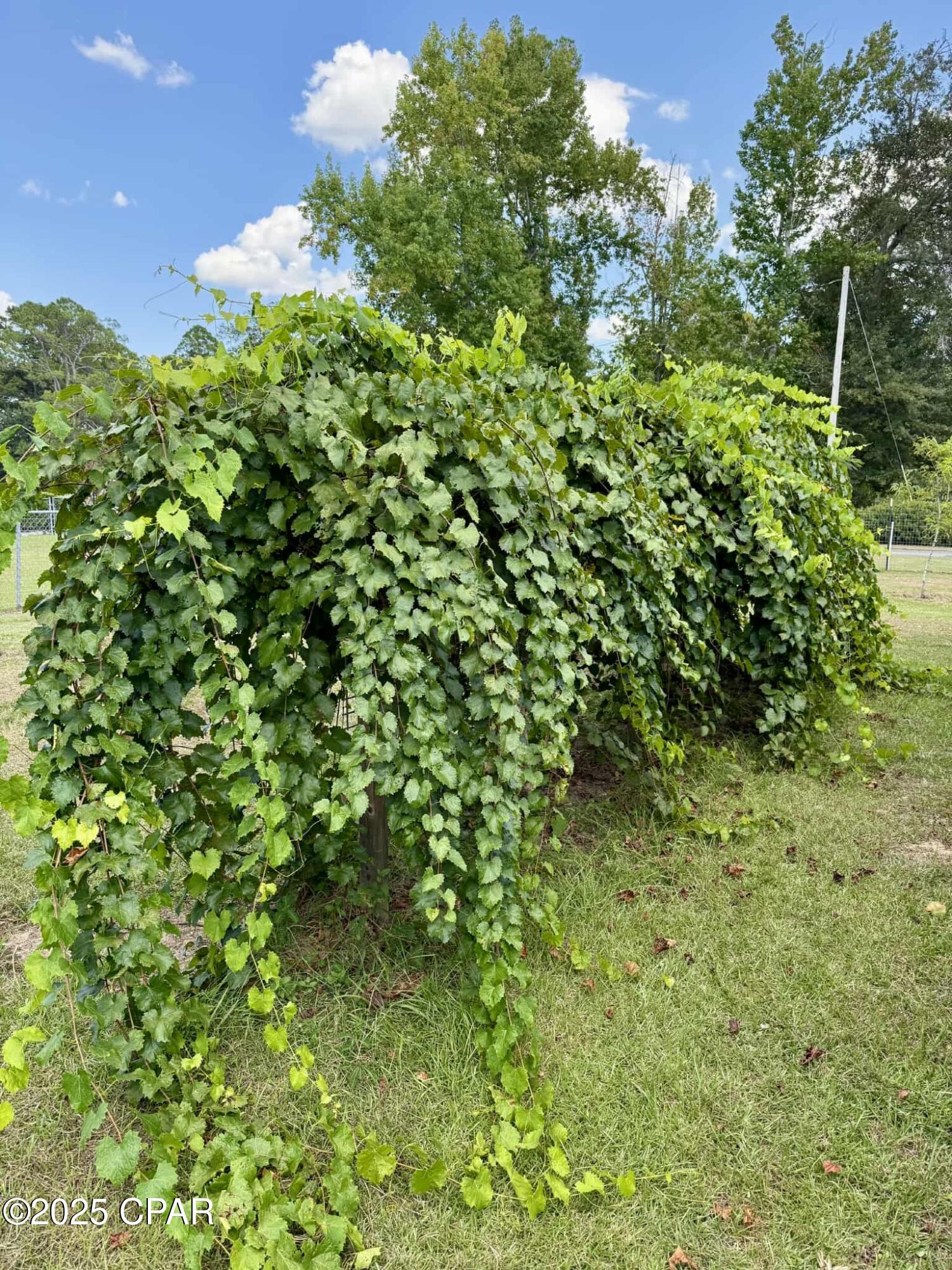 Image 14 For 1154 10th Avenue