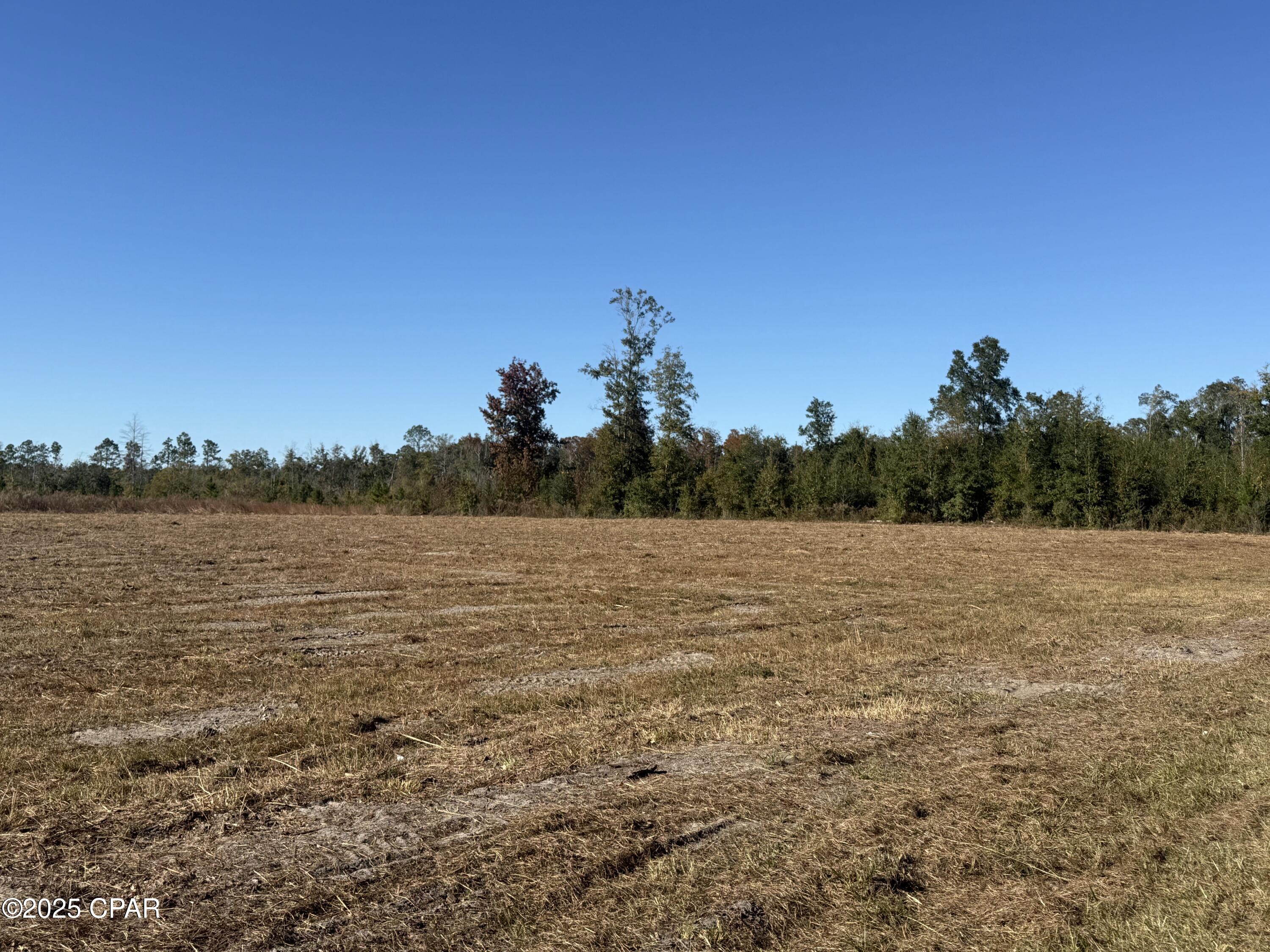Details for Lot 1 Hwy 71, Wewahitchka, FL 32465