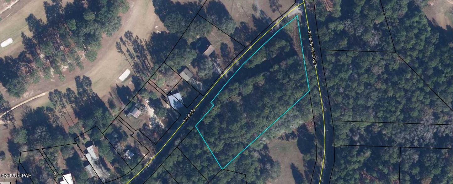 Listing Details for Tbd Muir Lane, Bonifay, FL 32425