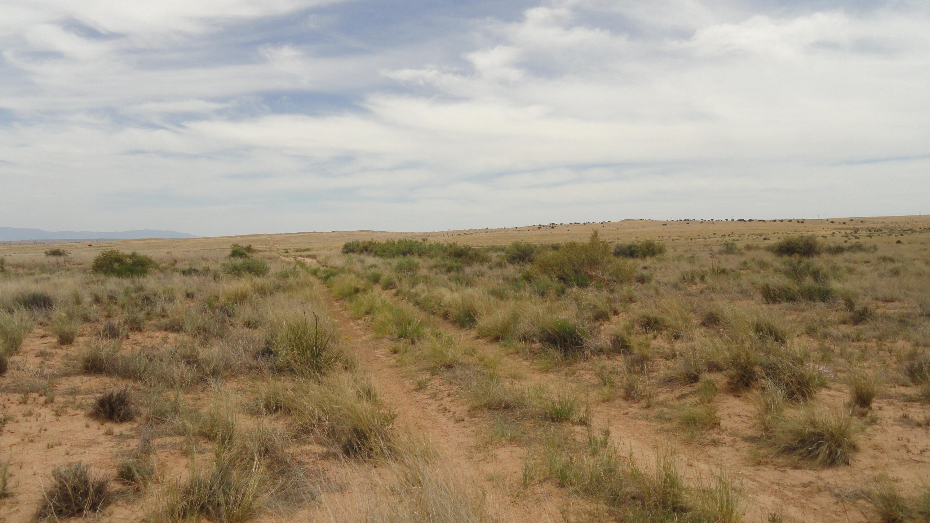 Homes for sale in Laguna, NM | Canyon Rd, Laguna, NM 87026 | MLS# 1091571