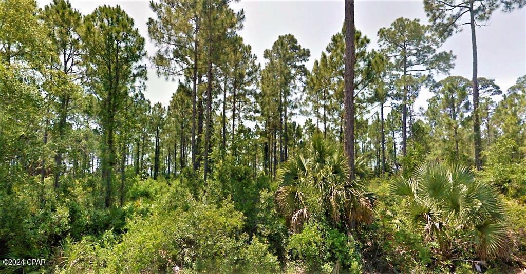 Details for 1 Cr 30 A  , Port St Joe, FL 32456