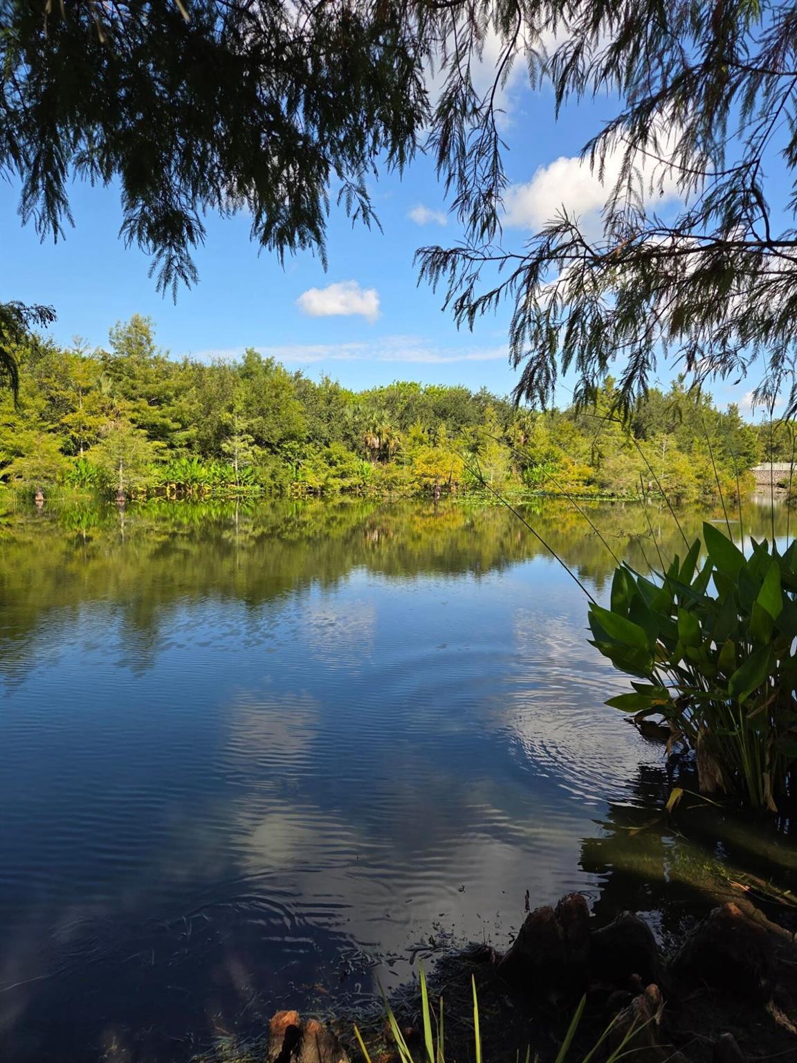 Homes for sale in Port St Lucie, FL | 2078 Se Glen Ridge Dr, Port St Lucie, FL 34952 | MLS# R11125163