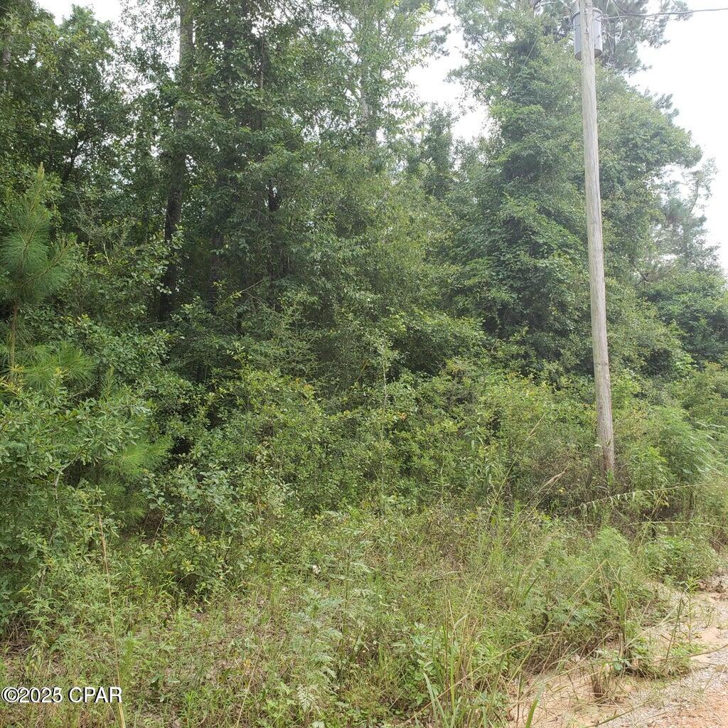 Details for Xxx Foxworth Road, Chipley, FL 32428