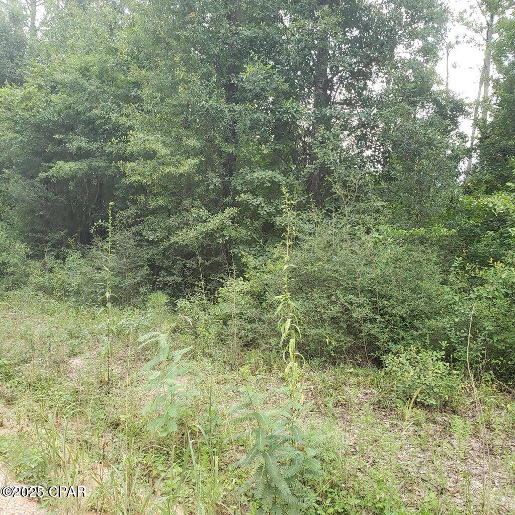 Image 2 For Xxx Foxworth Road