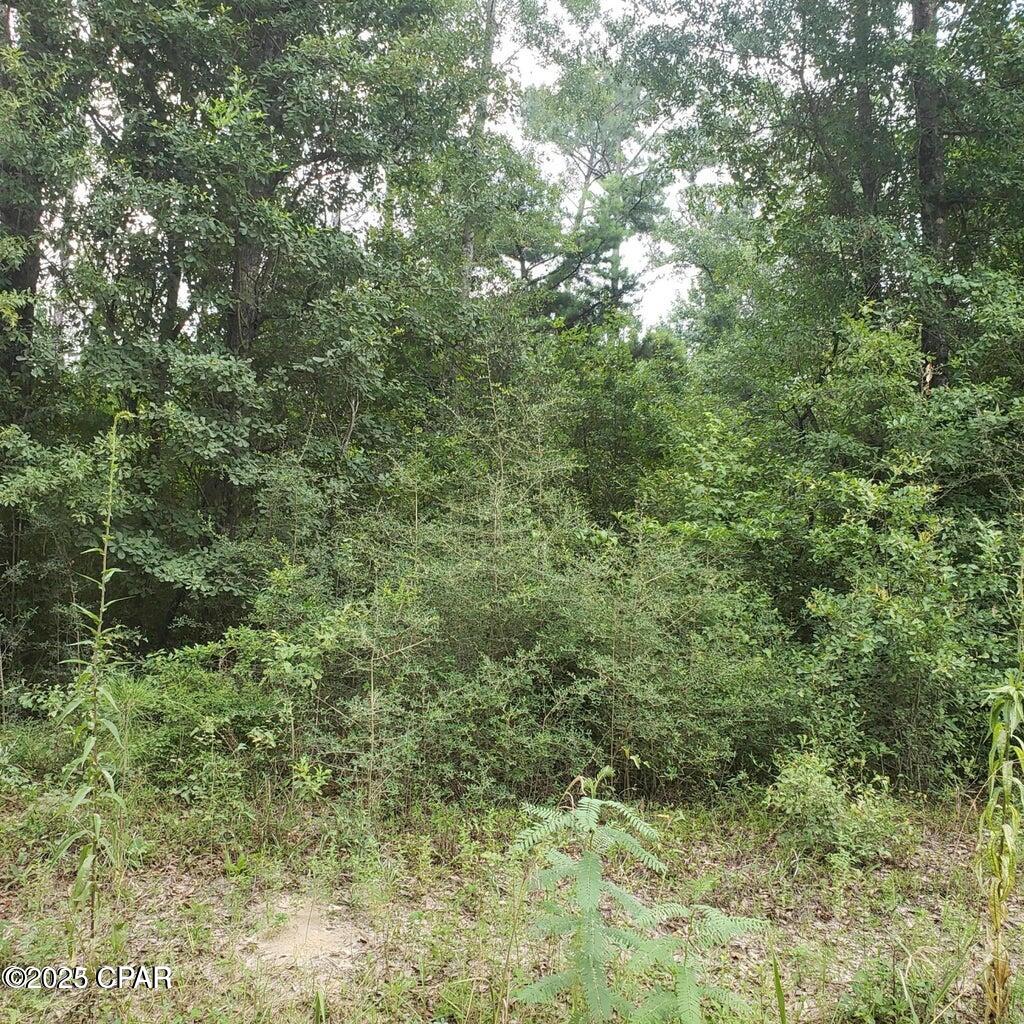 Image 6 For Xxx Foxworth Road