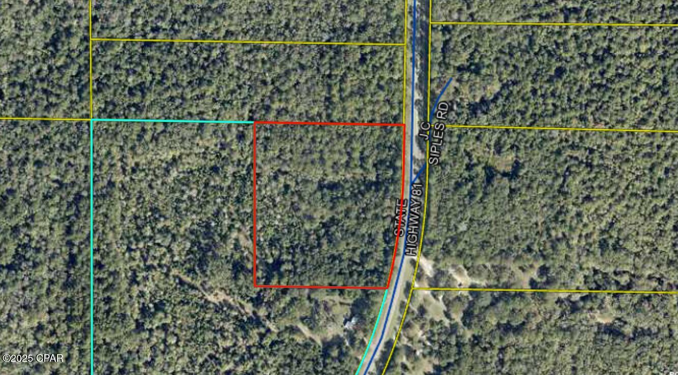 Homes for sale in Ponce De Leon, FL | 0 Fl 81 Hwy, Ponce De Leon, FL 32455 | MLS# 779289