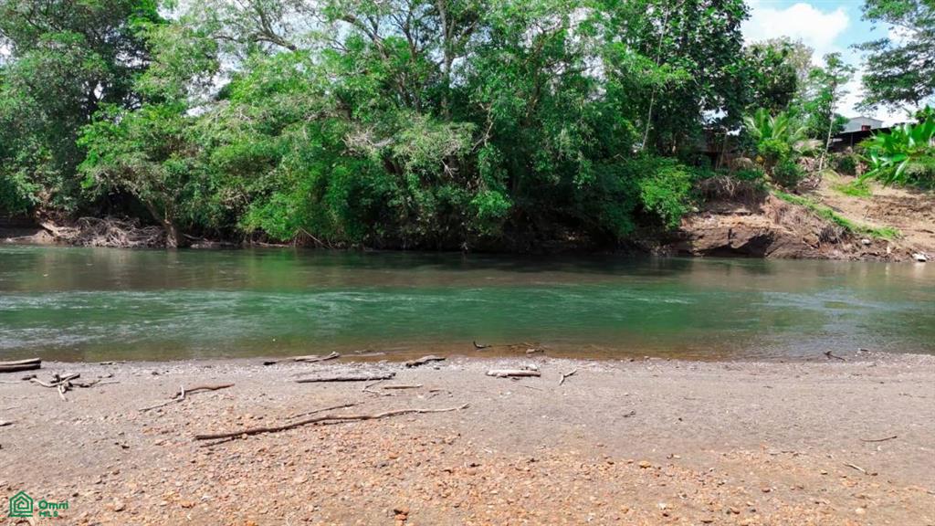 20 bed Commercial For Sale in Sarapiqui, Heredia - 1
