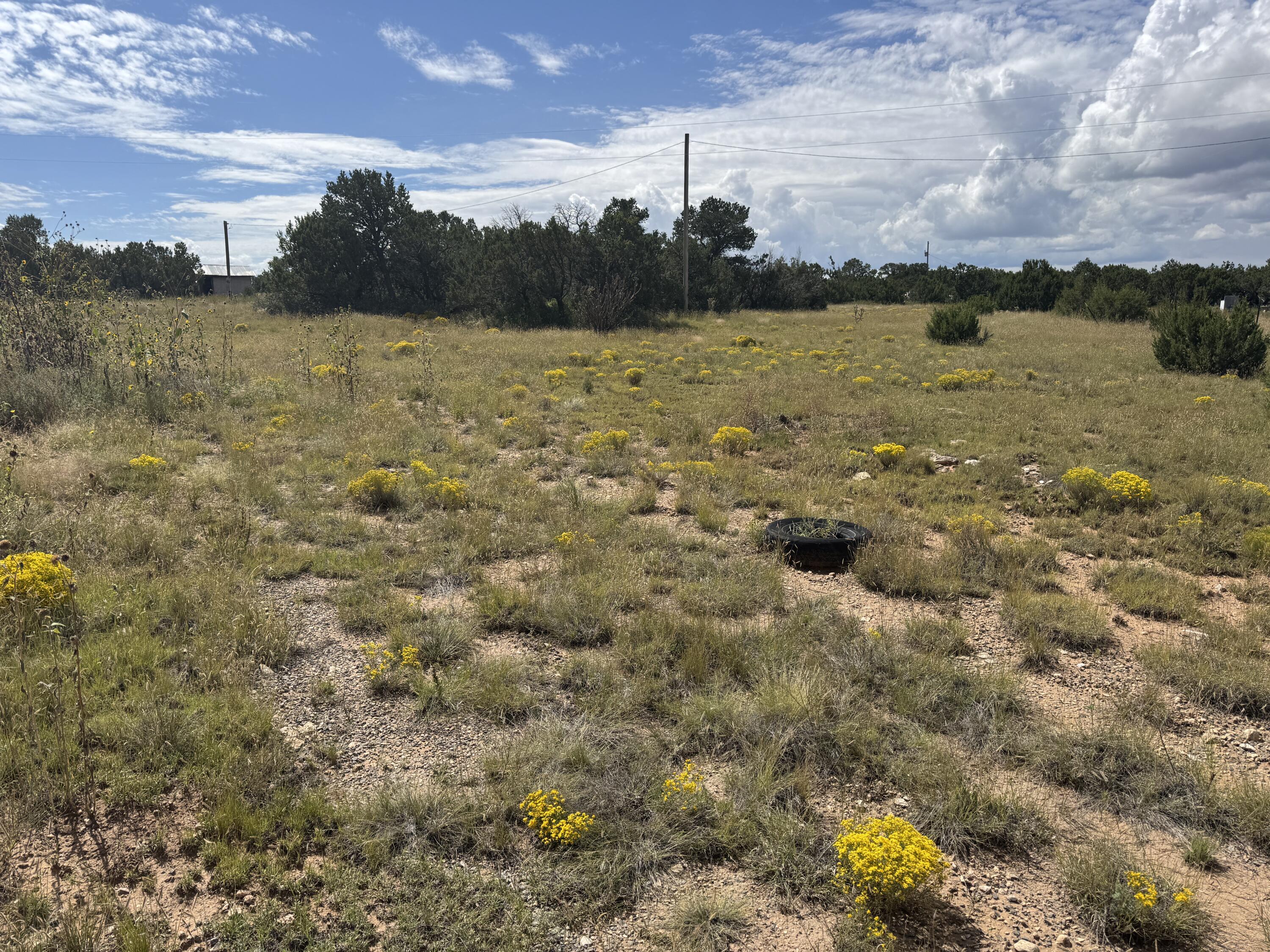 Homes for sale in Tijeras, NM | 296 Pohl Rd, Tijeras, NM 87059 | MLS# 1091691