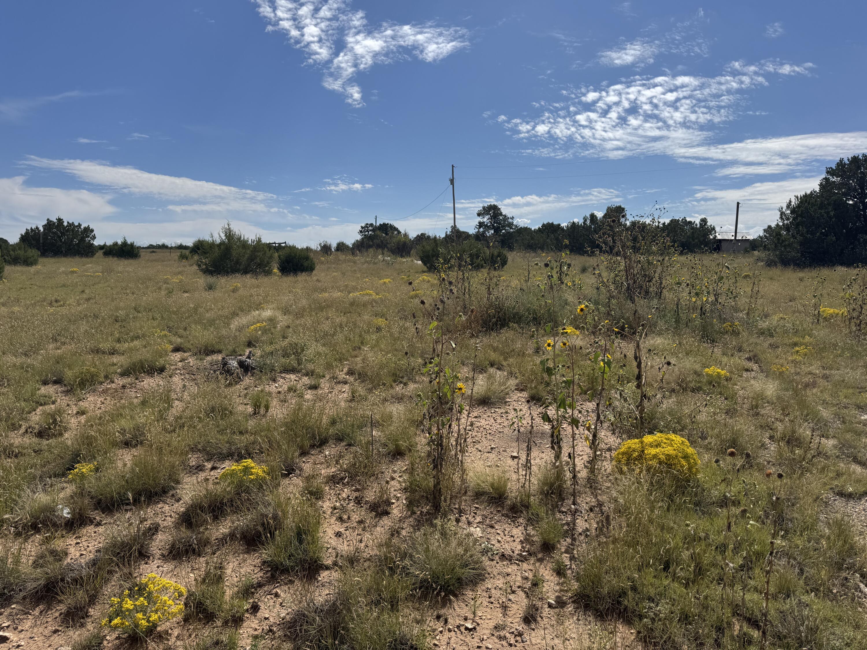 Homes for sale in Tijeras, NM | 296 Pohl Rd, Tijeras, NM 87059 | MLS# 1091691