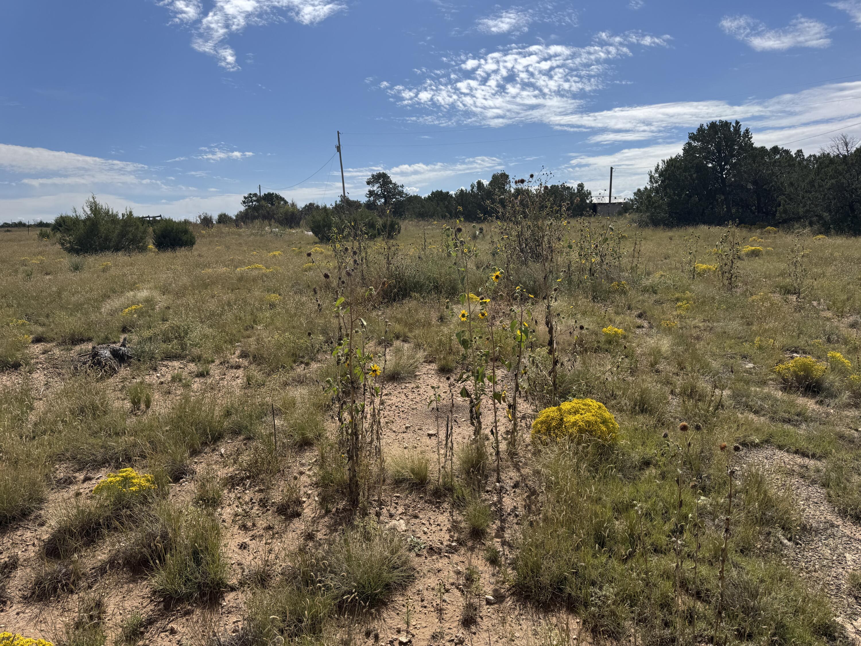 Homes for sale in Tijeras, NM | 296 Pohl Rd, Tijeras, NM 87059 | MLS# 1091691