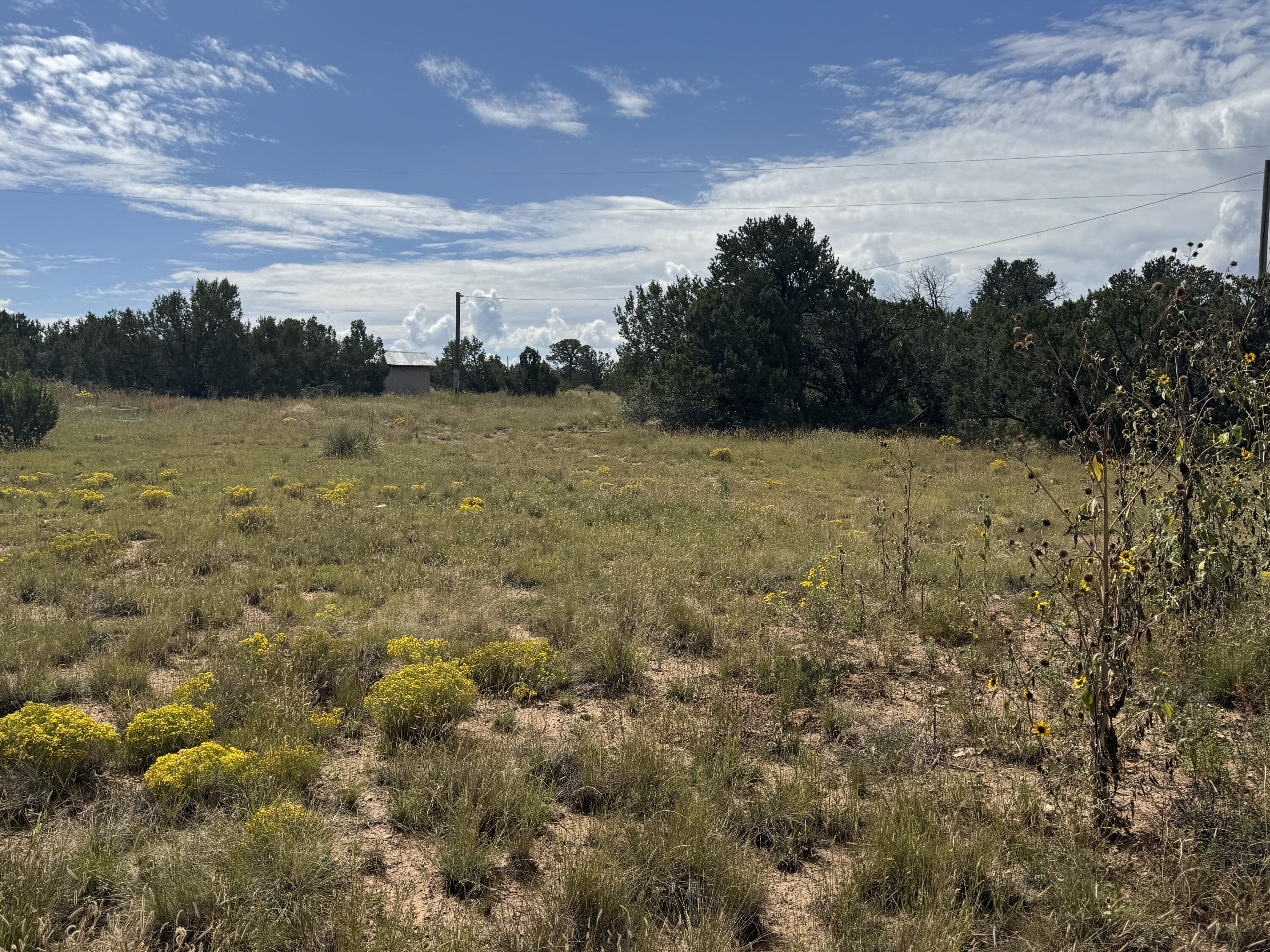 Homes for sale in Tijeras, NM | 296 Pohl Rd, Tijeras, NM 87059 | MLS# 1091691