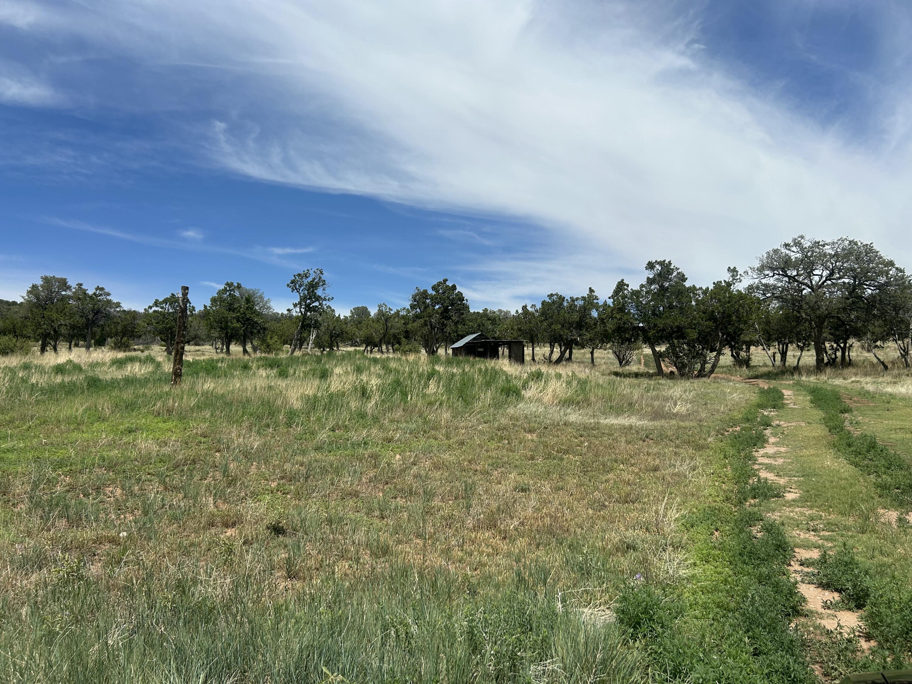 Homes for sale in Estancia, NM | 169 La Para Rd, Estancia, NM 87016 | MLS# 1091694