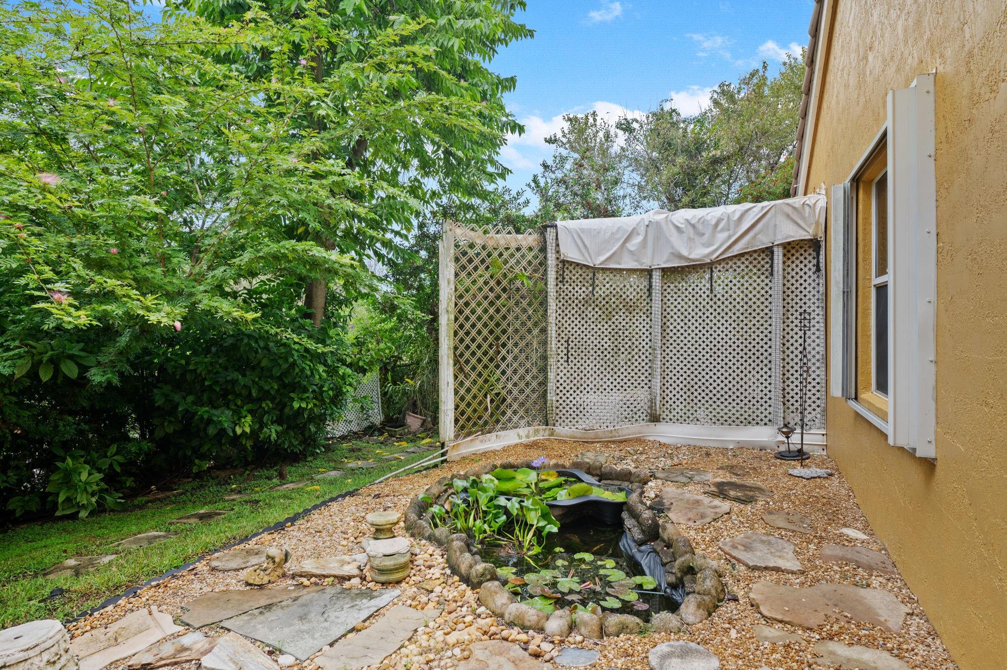 Pond and bird sanctuary off back patio